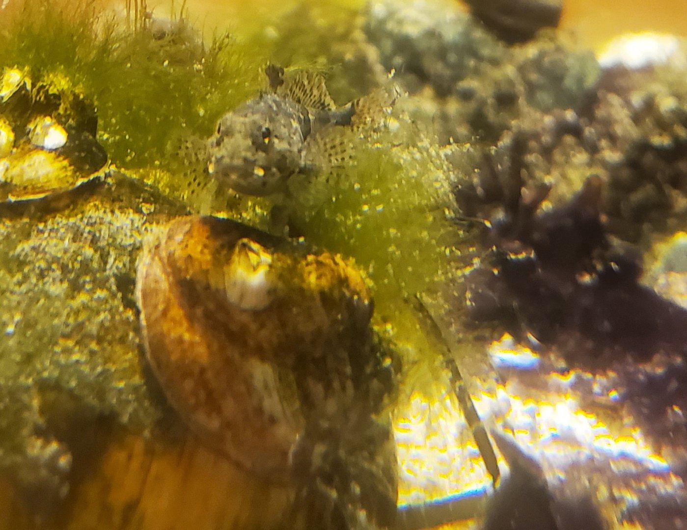 Save The Bay Aquarium (2022)