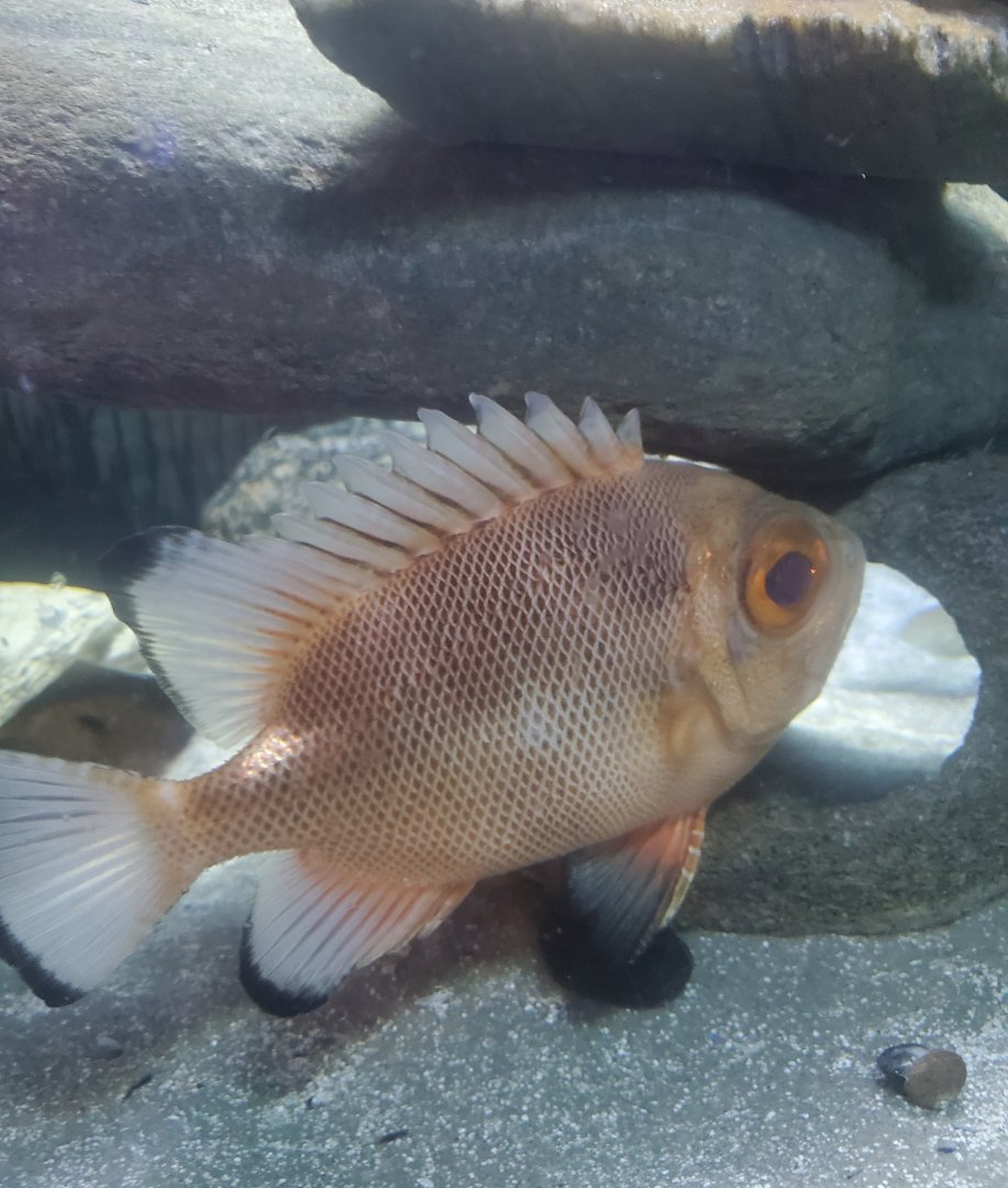 Save The Bay Aquarium (2022)