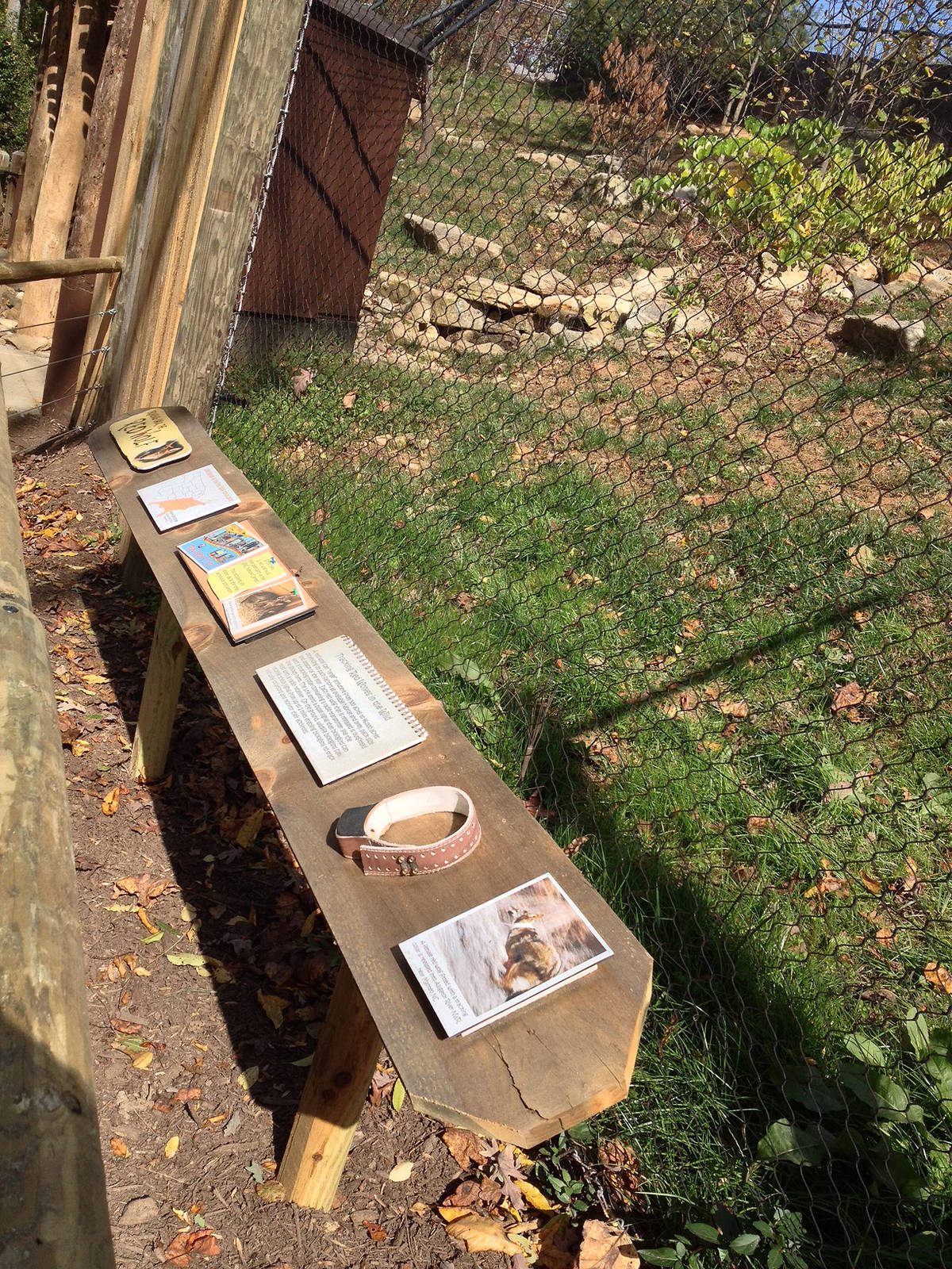 Saving red wolves - interpretive