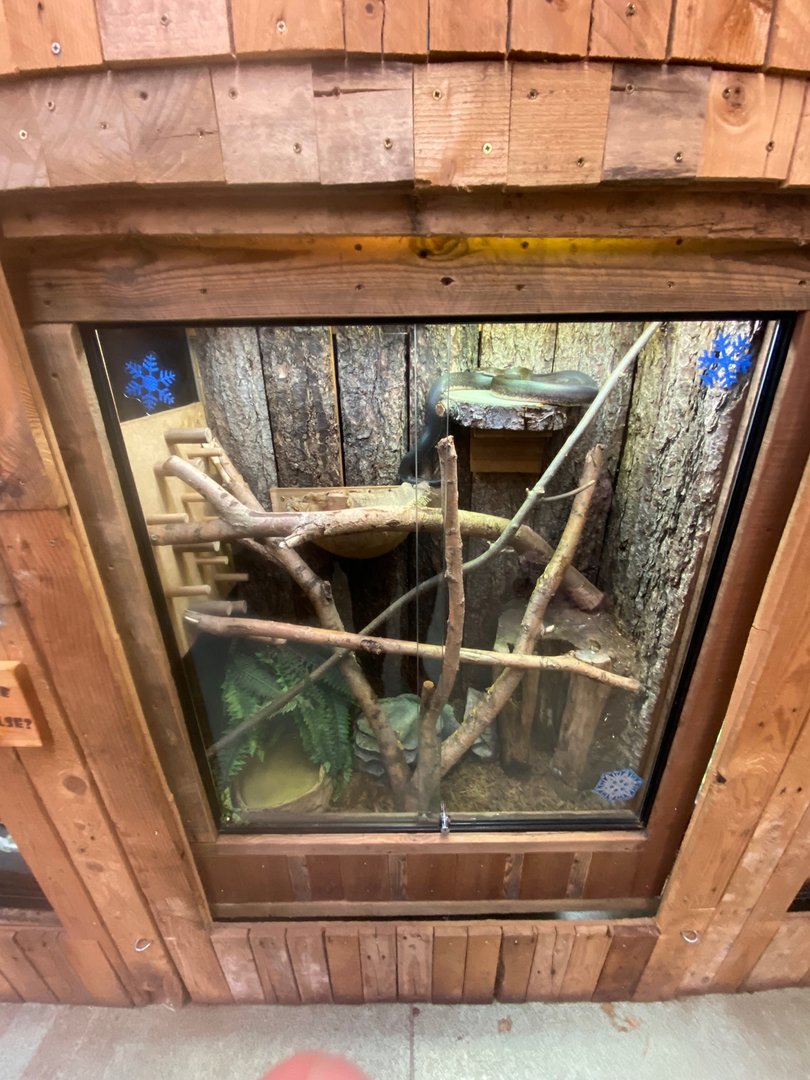 Savu python exhibit 111222