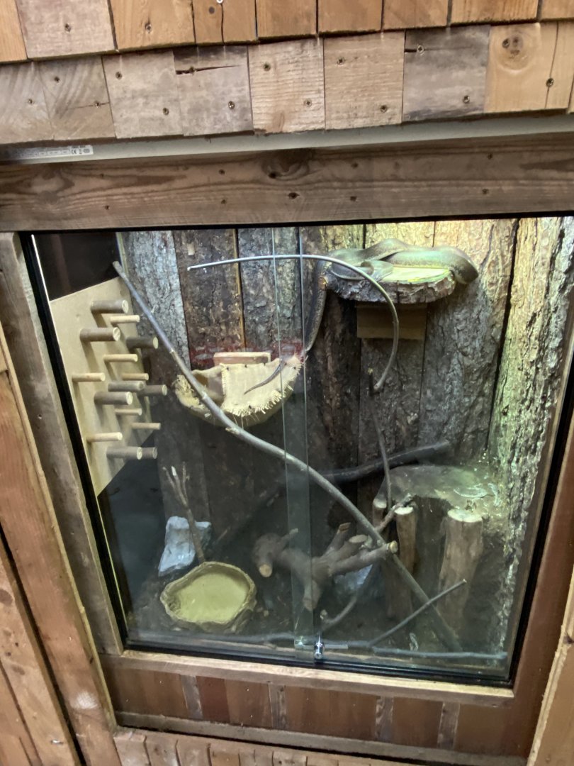 Savu python vivaria 021120