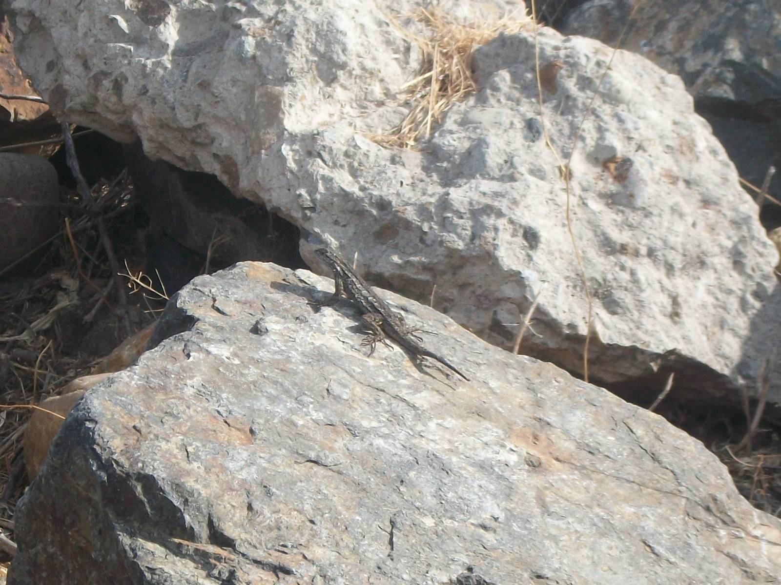 Saw this outside seaworld san diego