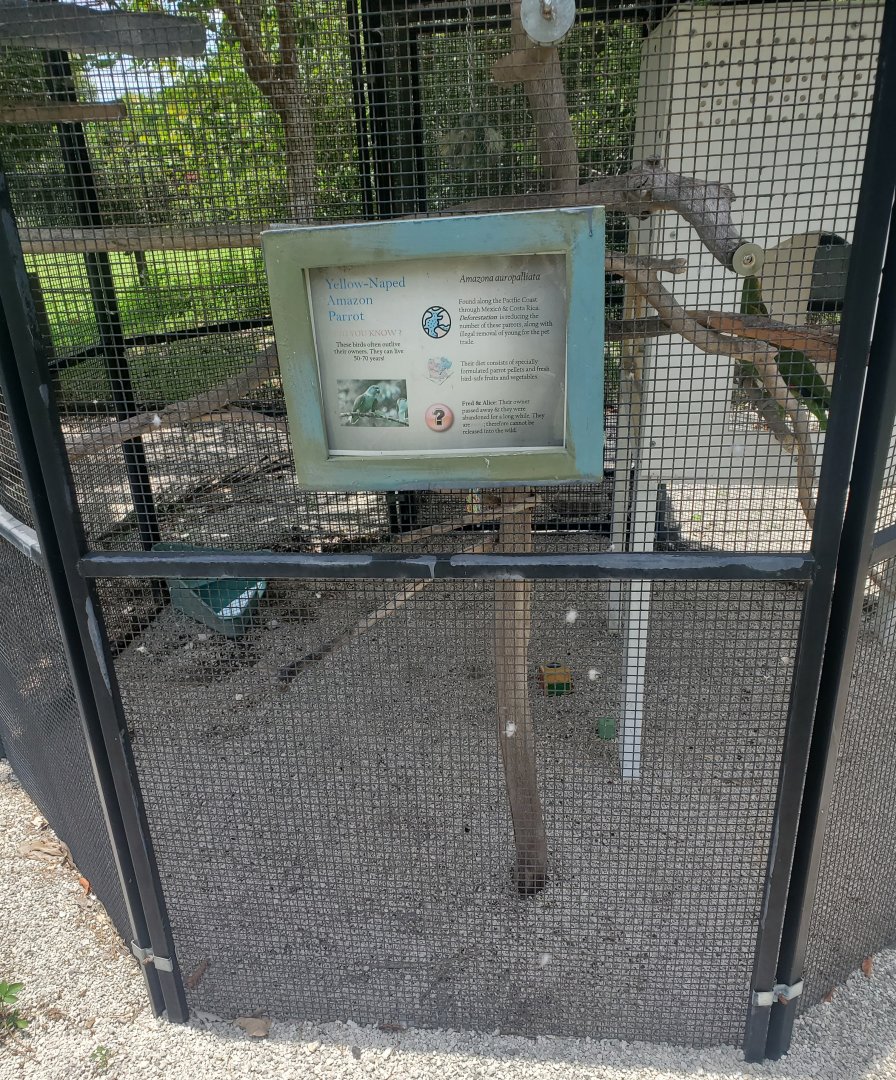 Sawgrass Nature Center (2022) - Amazons + enclosure