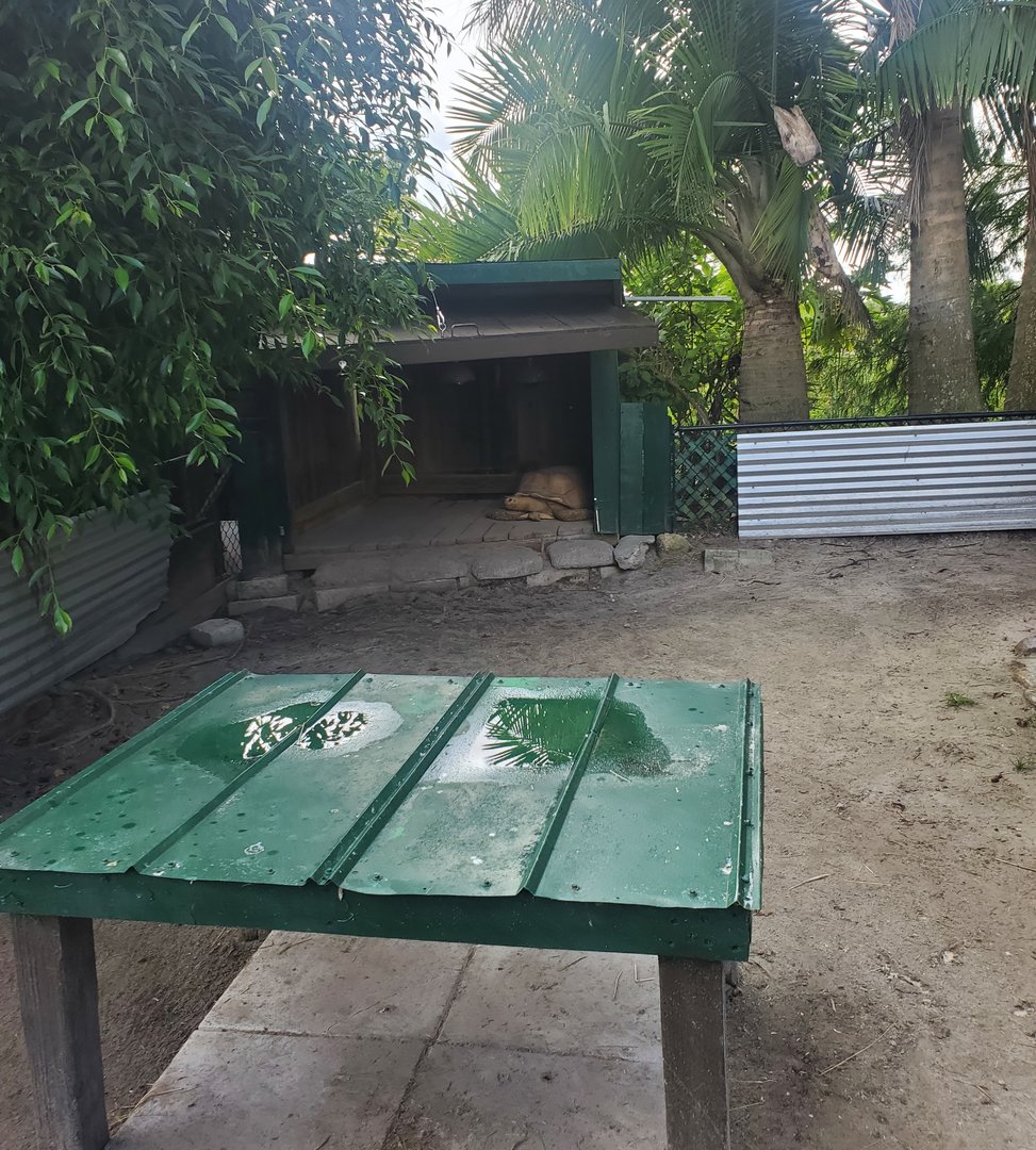 Sawgrass Recreation Park - Sulcata enclosure