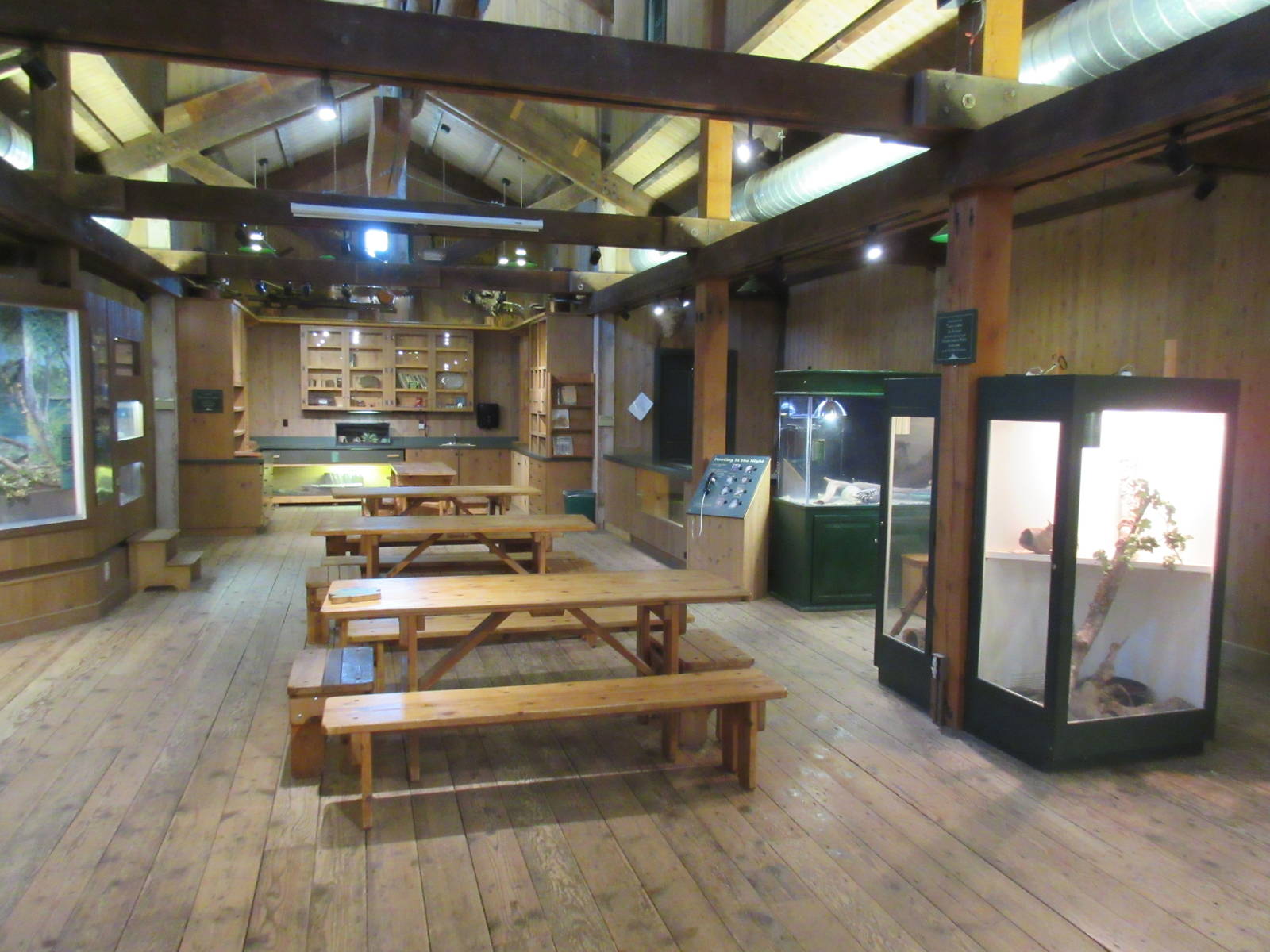 Sawmill Building (with assorted terrariums)