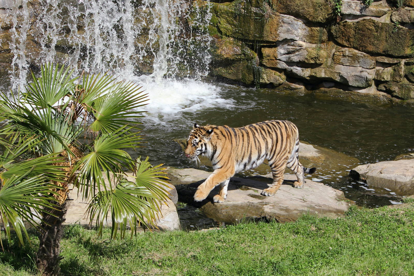 Sayan infront of waterfall 8/6/14