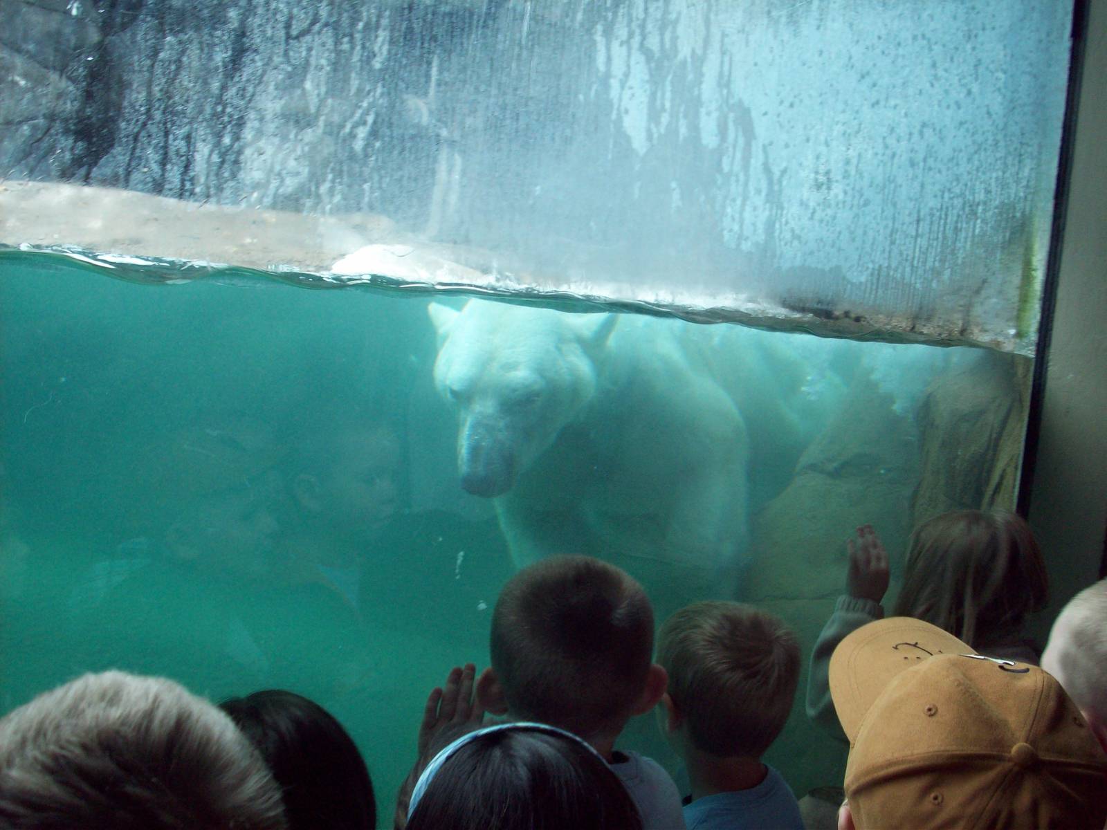 Saying Hello to the Kiddies