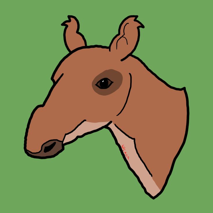 Scalabrinitherium bravardi