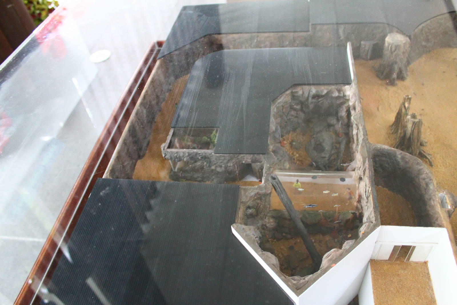 Scale model - Amazon Flooded Forest