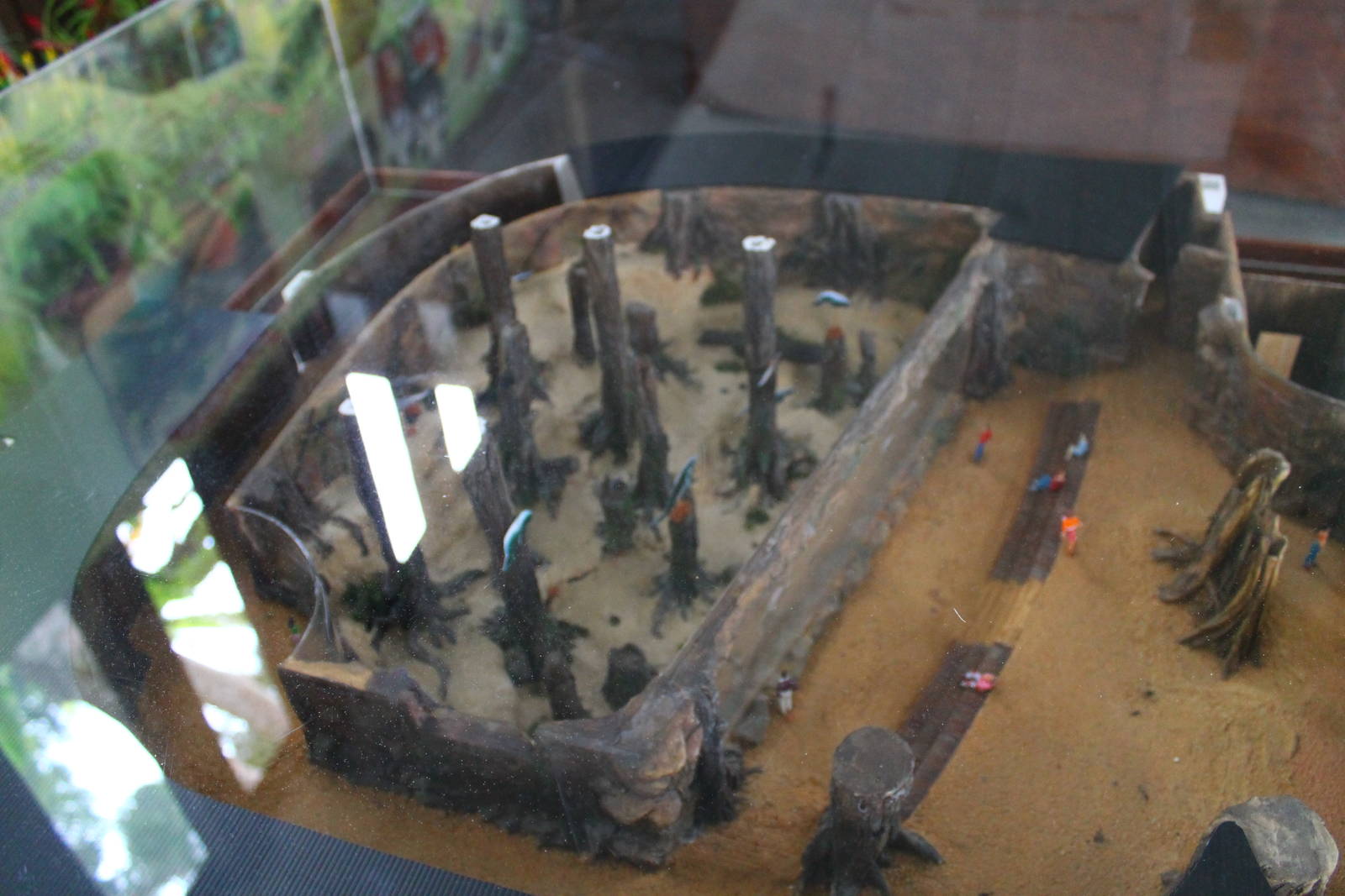 Scale model - Amazon Flooded Forest