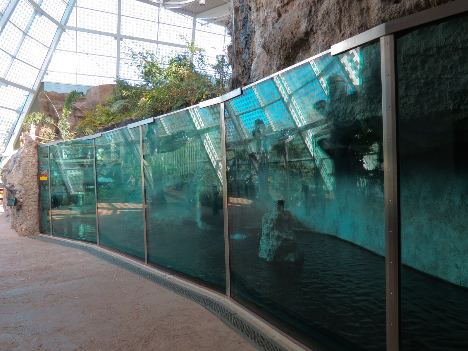 Scaly Slimy Spectacular - African Slender-snouted Crocodile Exhibit