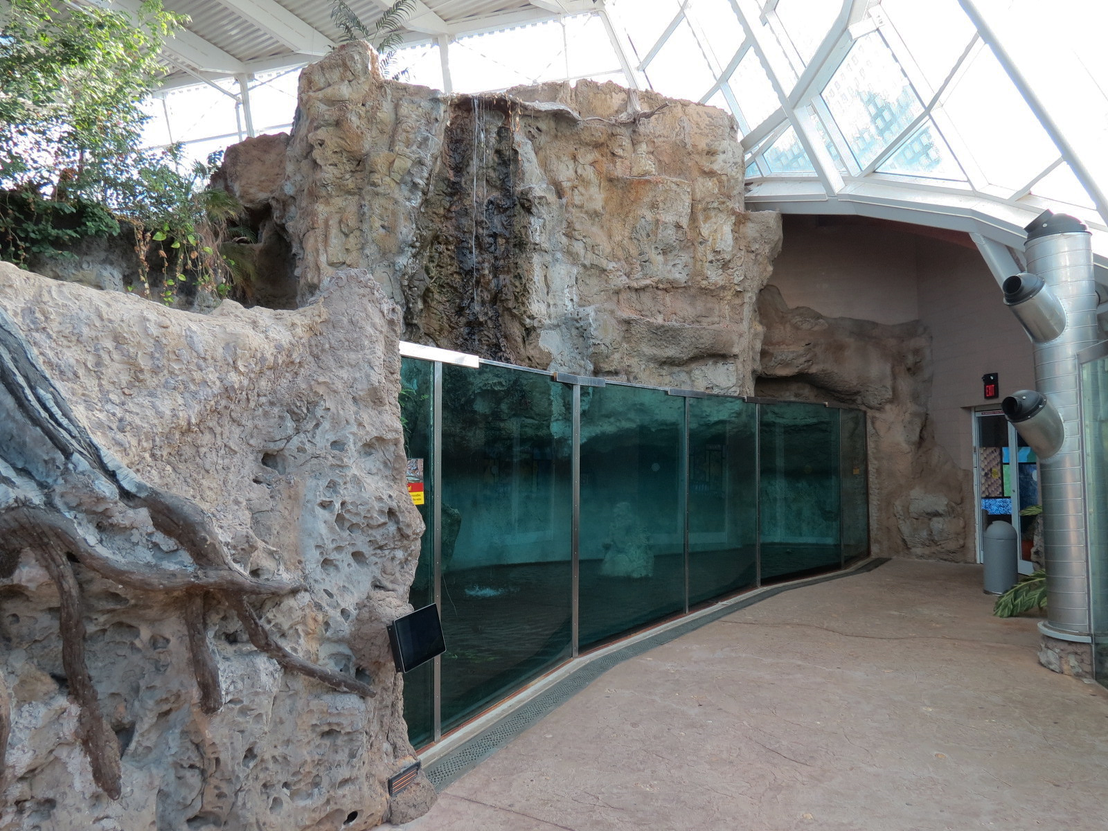 Scaly Slimy Spectacular - African Slender-snouted Crocodile Exhibit