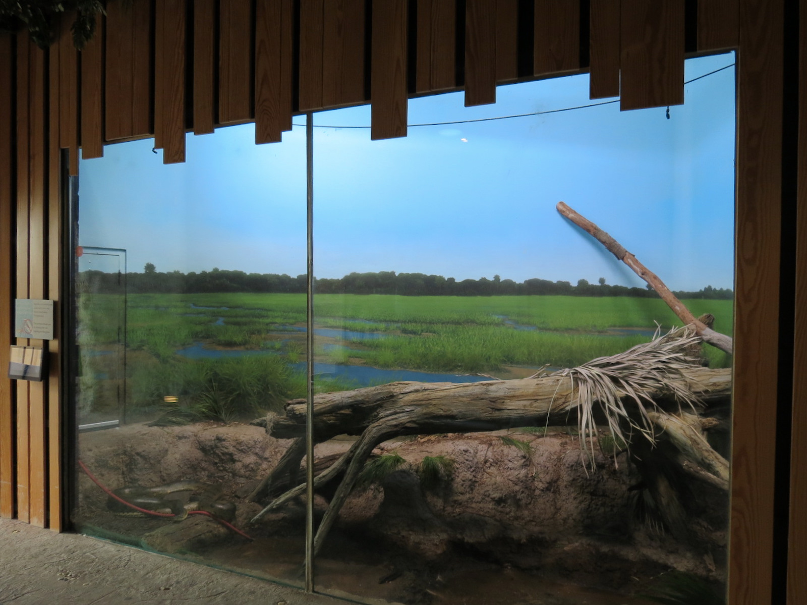 Scaly Slimy Spectacular - Anaconda Exhibit