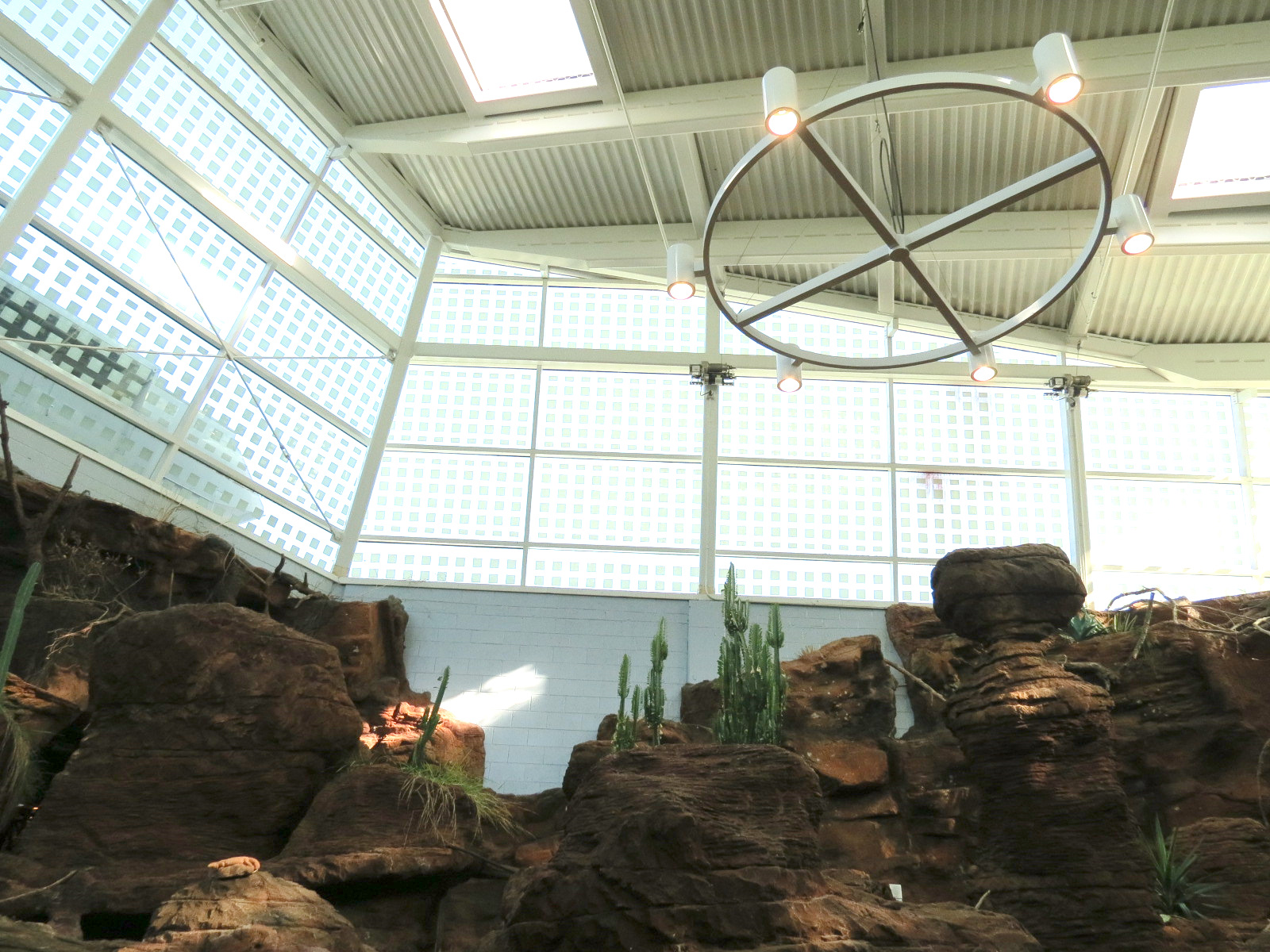 Scaly Slimy Spectacular - Desert Exhibits Ceiling