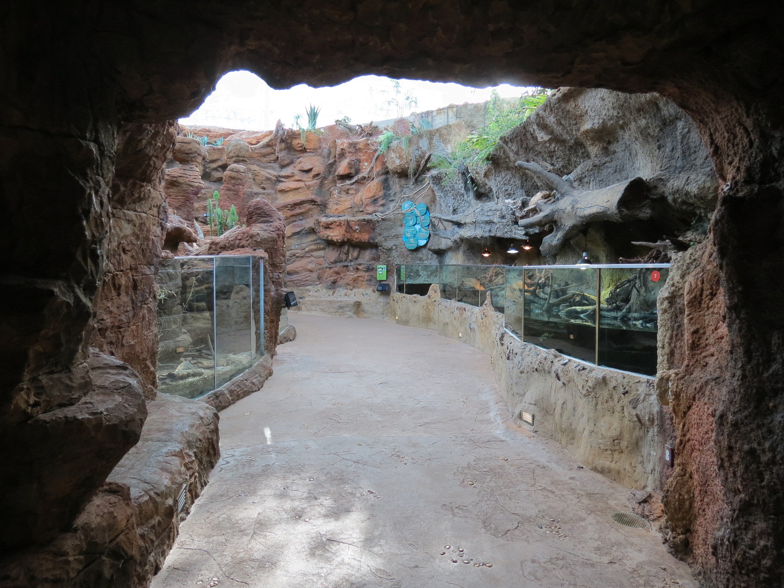 Scaly Slimy Spectacular - Desert Exhibits Entrance