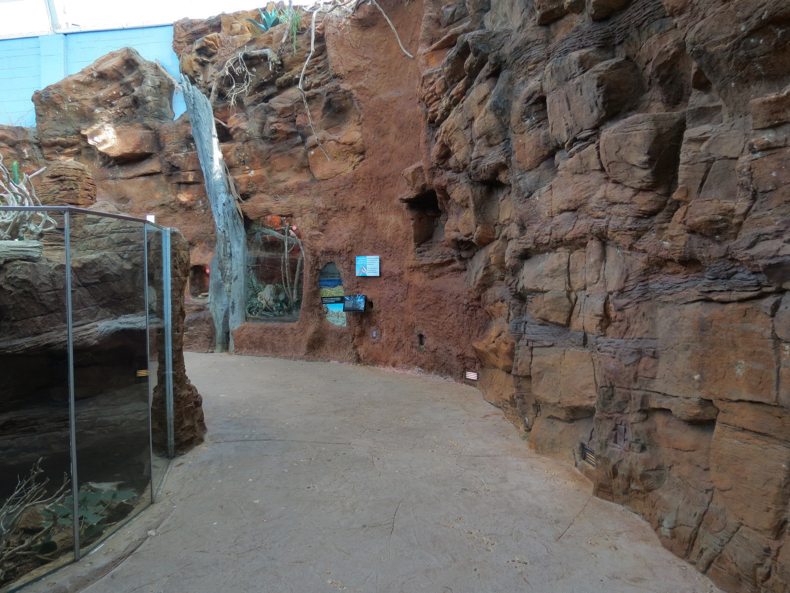 Scaly Slimy Spectacular - Desert Exhibits Walkway