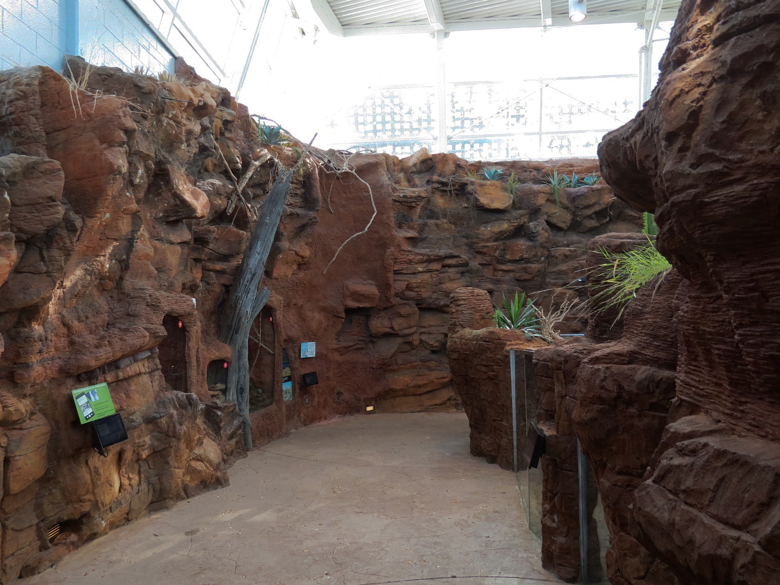 Scaly Slimy Spectacular - Desert Exhibits Walkway