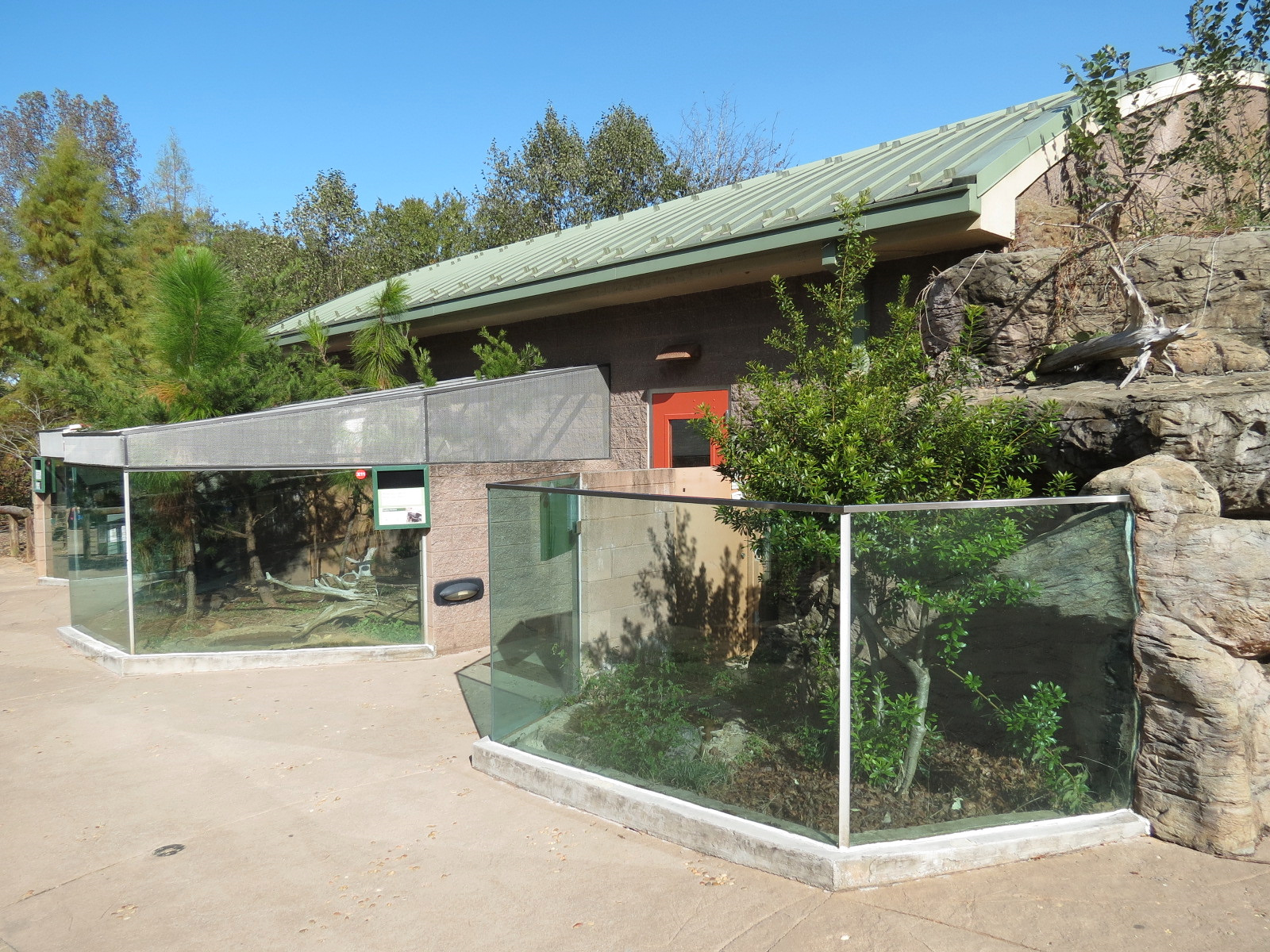 Scaly Slimy Spectacular - Eastern Box Turtle Exhibit
