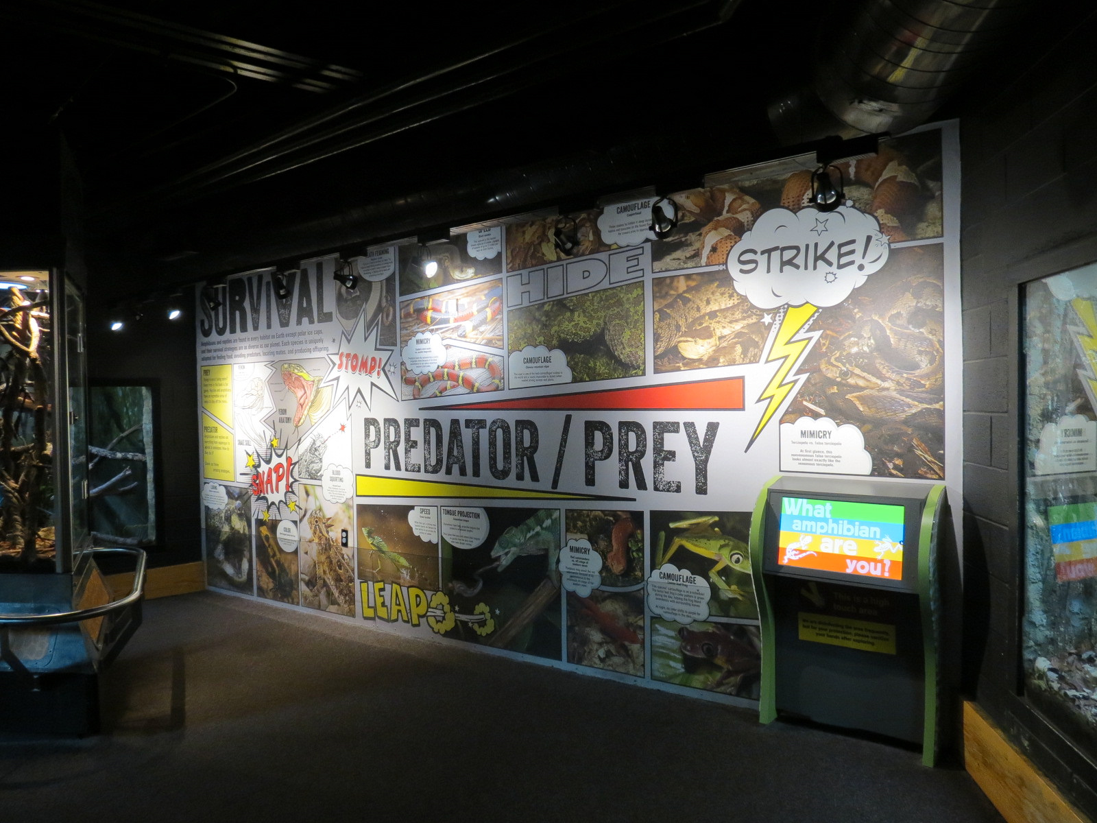 Scaly Slimy Spectacular - Exhibit Hall Mural