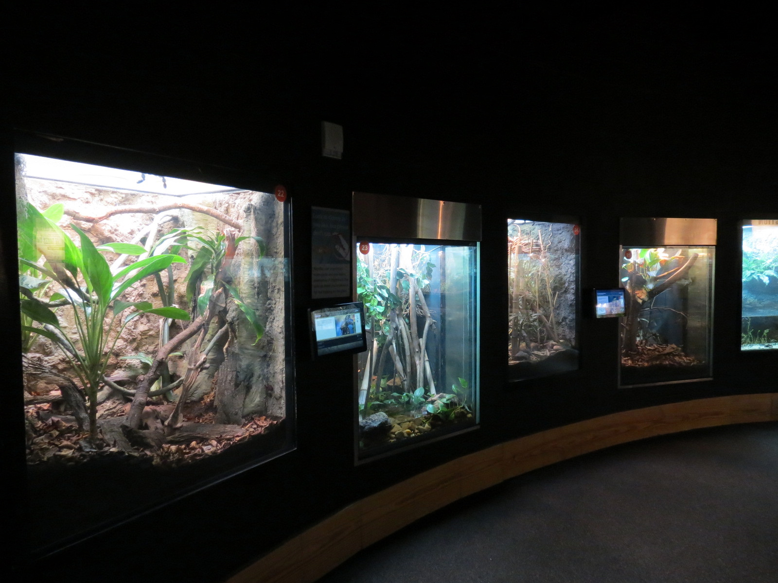 Scaly Slimy Spectacular - Exhibit Hall