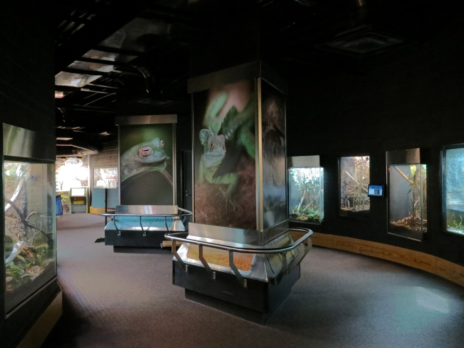 Scaly Slimy Spectacular - Exhibit Hall