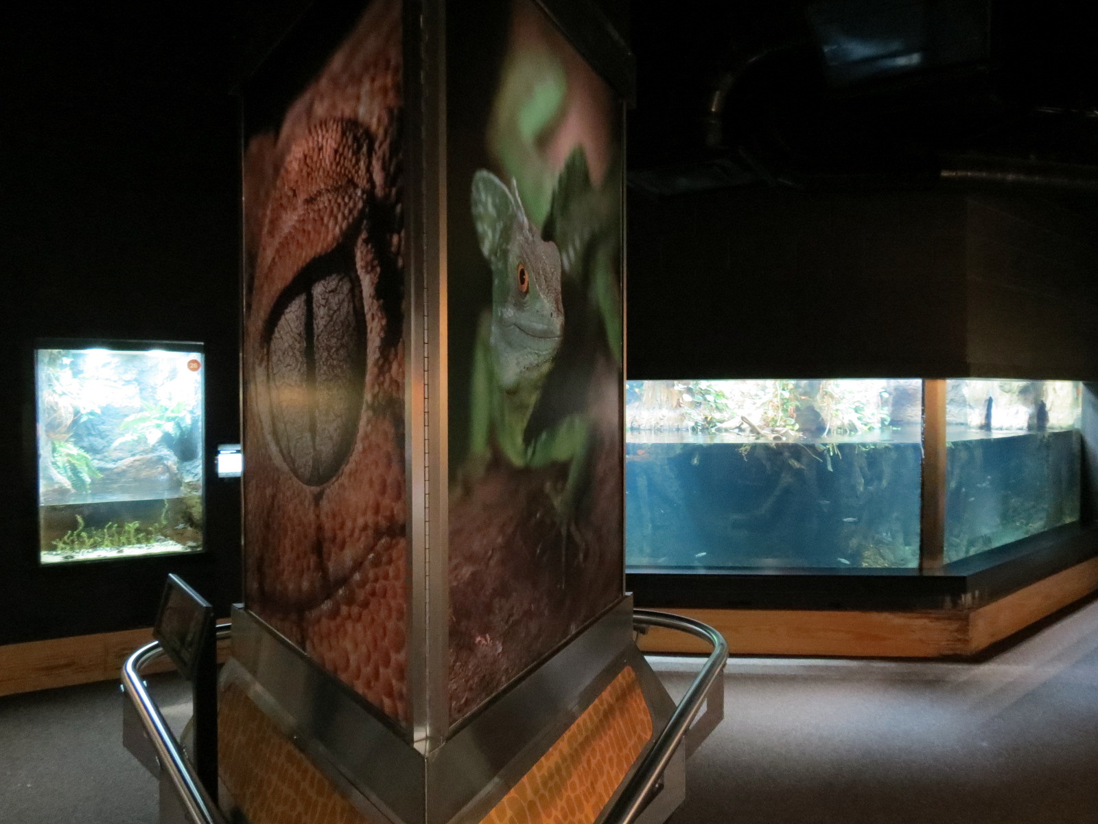 Scaly Slimy Spectacular - Exhibit Hall