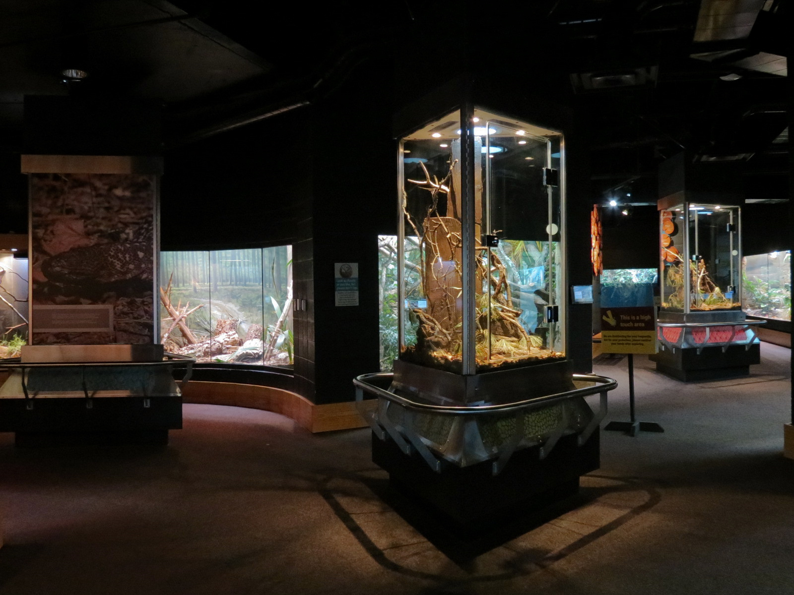 Scaly Slimy Spectacular - Exhibit Hall