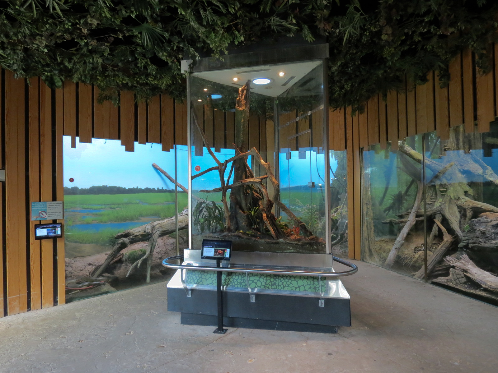 Scaly Slimy Spectacular - Frog Exhibit