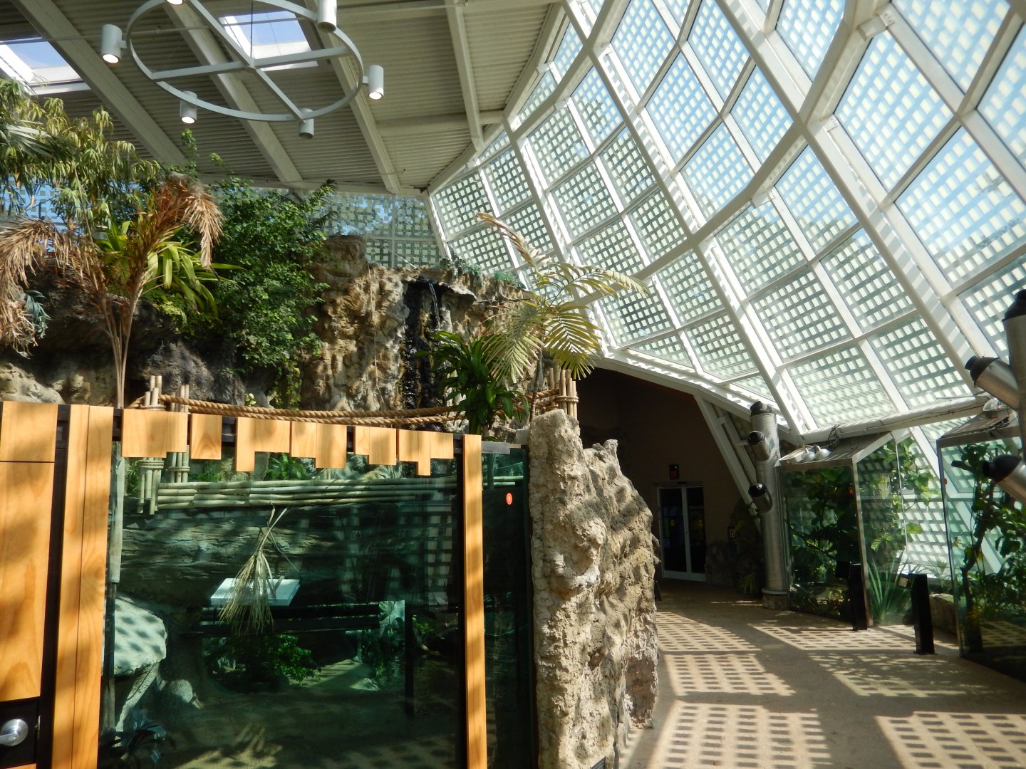 Scaly Slimy Spectacular - General View of Rainforest Section