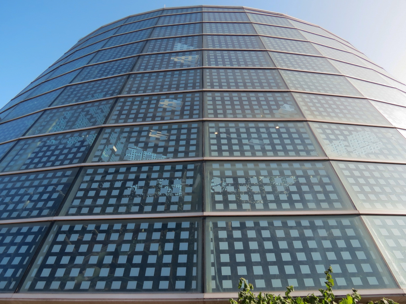 Scaly Slimy Spectacular - Main Building Exterior