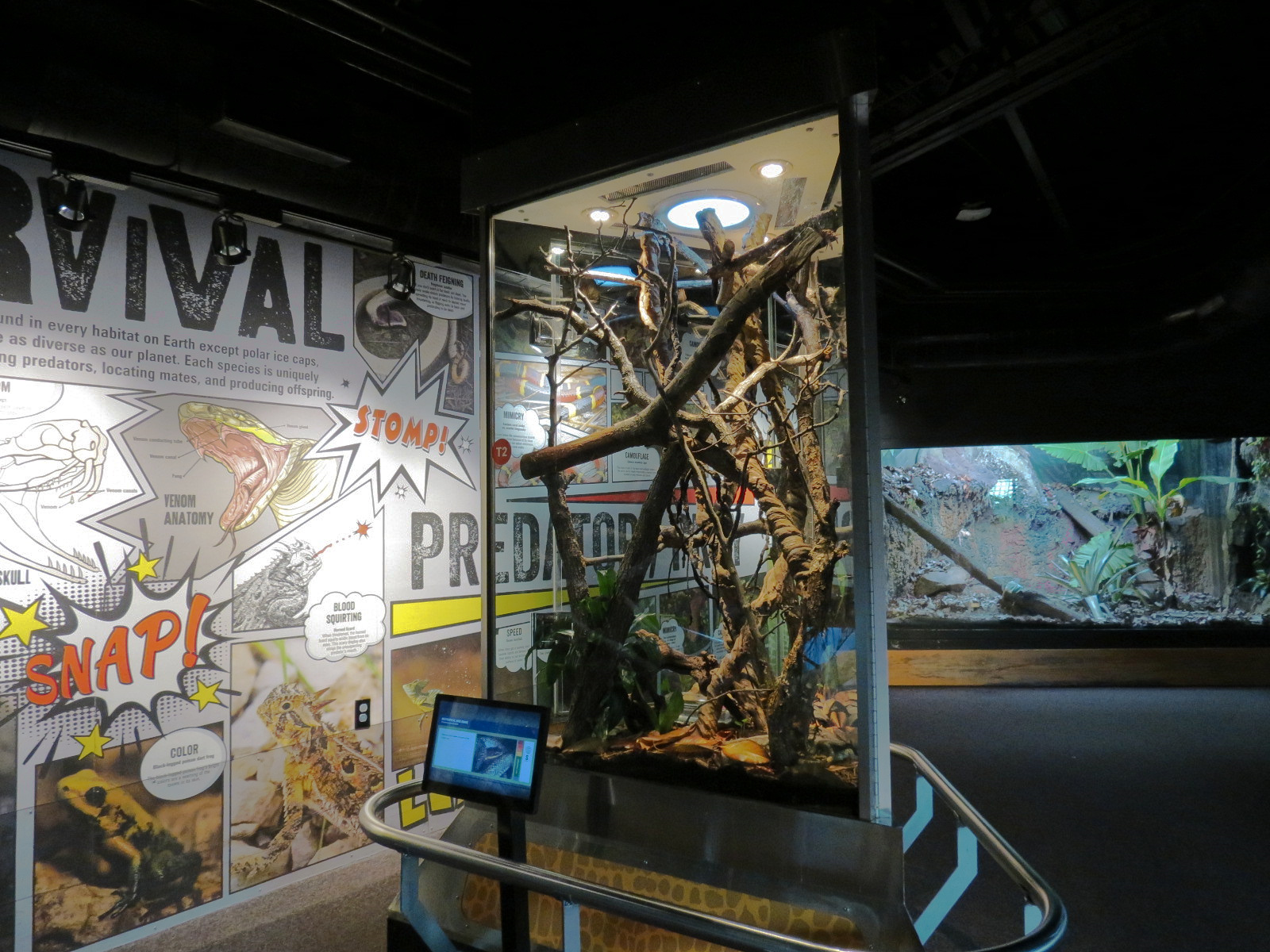 Scaly Slimy Spectacular - Neotropical Bird Snake Exhibit