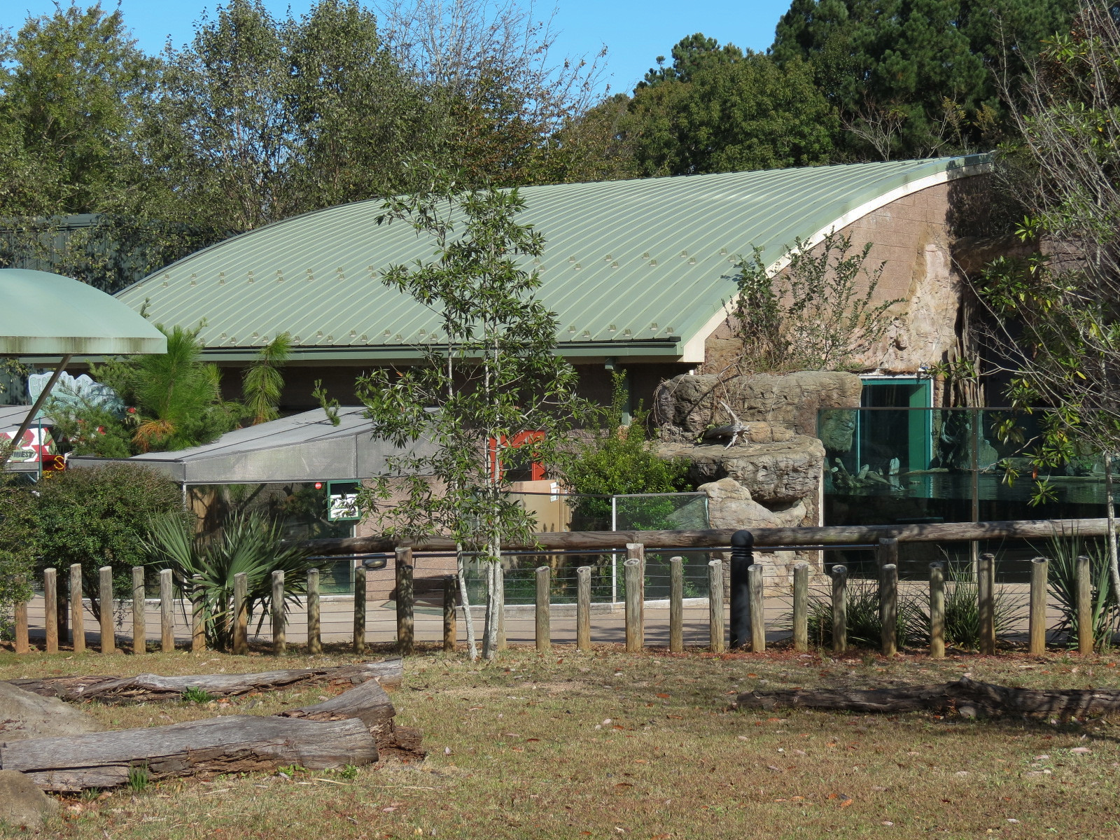 Scaly Slimy Spectacular - Seasonal Tortoise Yard