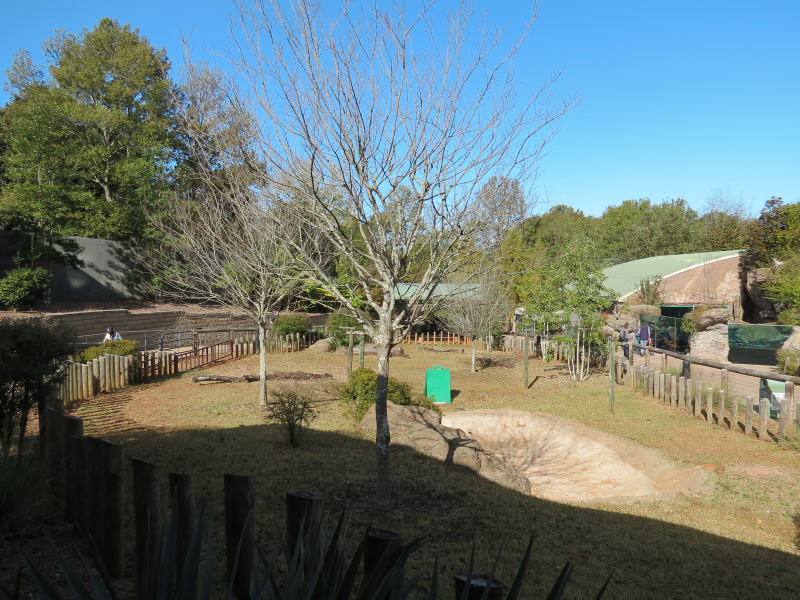 Scaly Slimy Spectacular - Seasonal Tortoise Yard