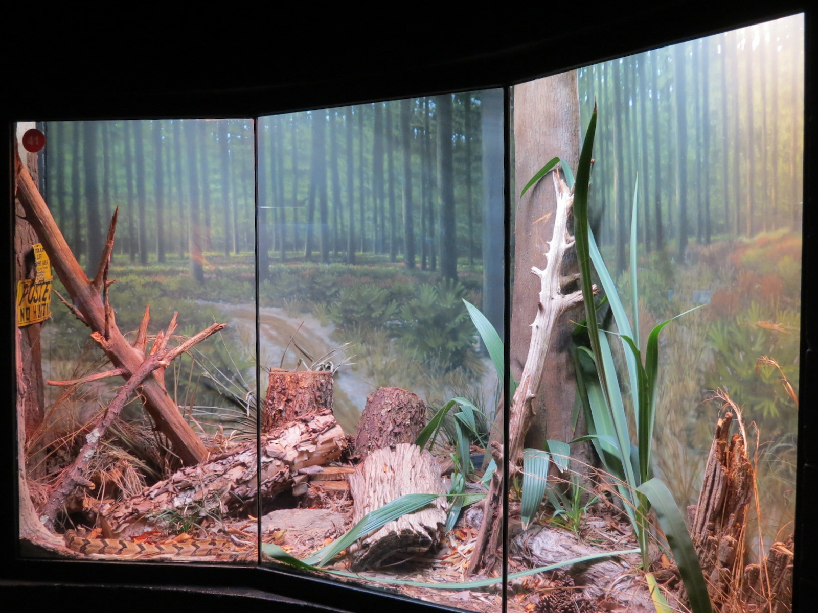 Scaly Slimy Spectacular - Timber Rattlesnake Exhibit