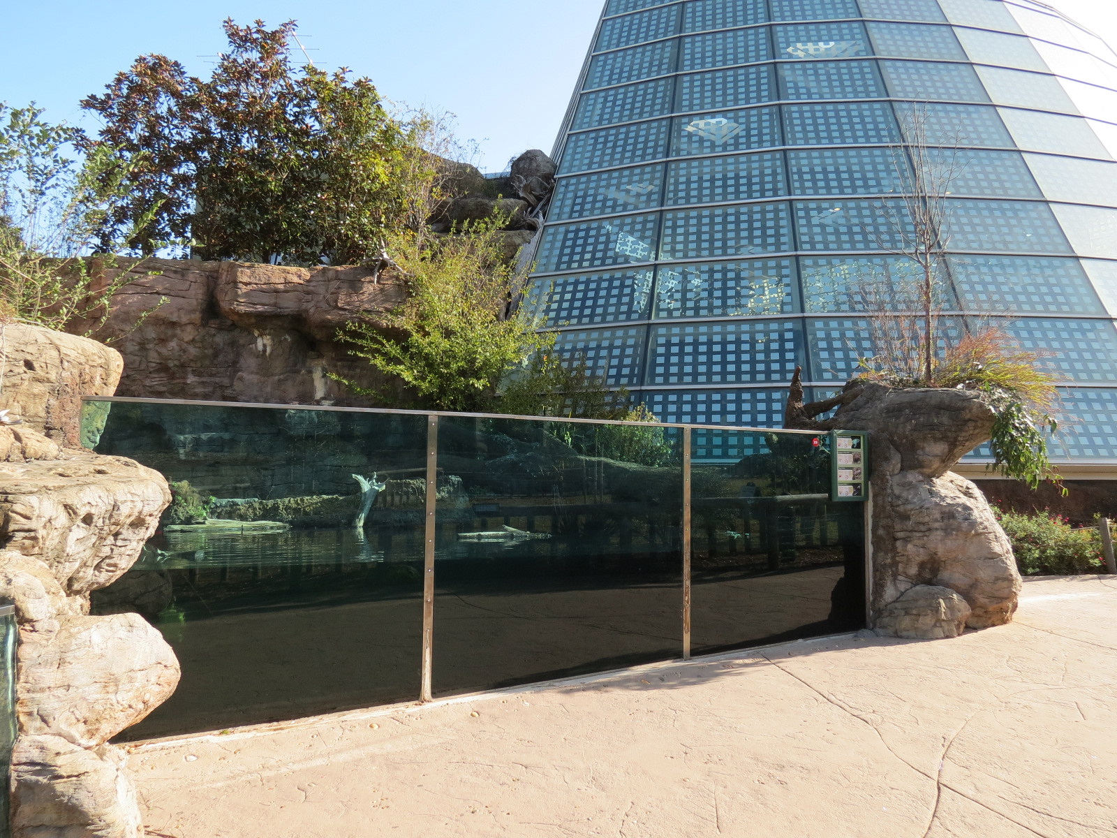 Scaly Slimy Spectacular - Turtle Exhibit