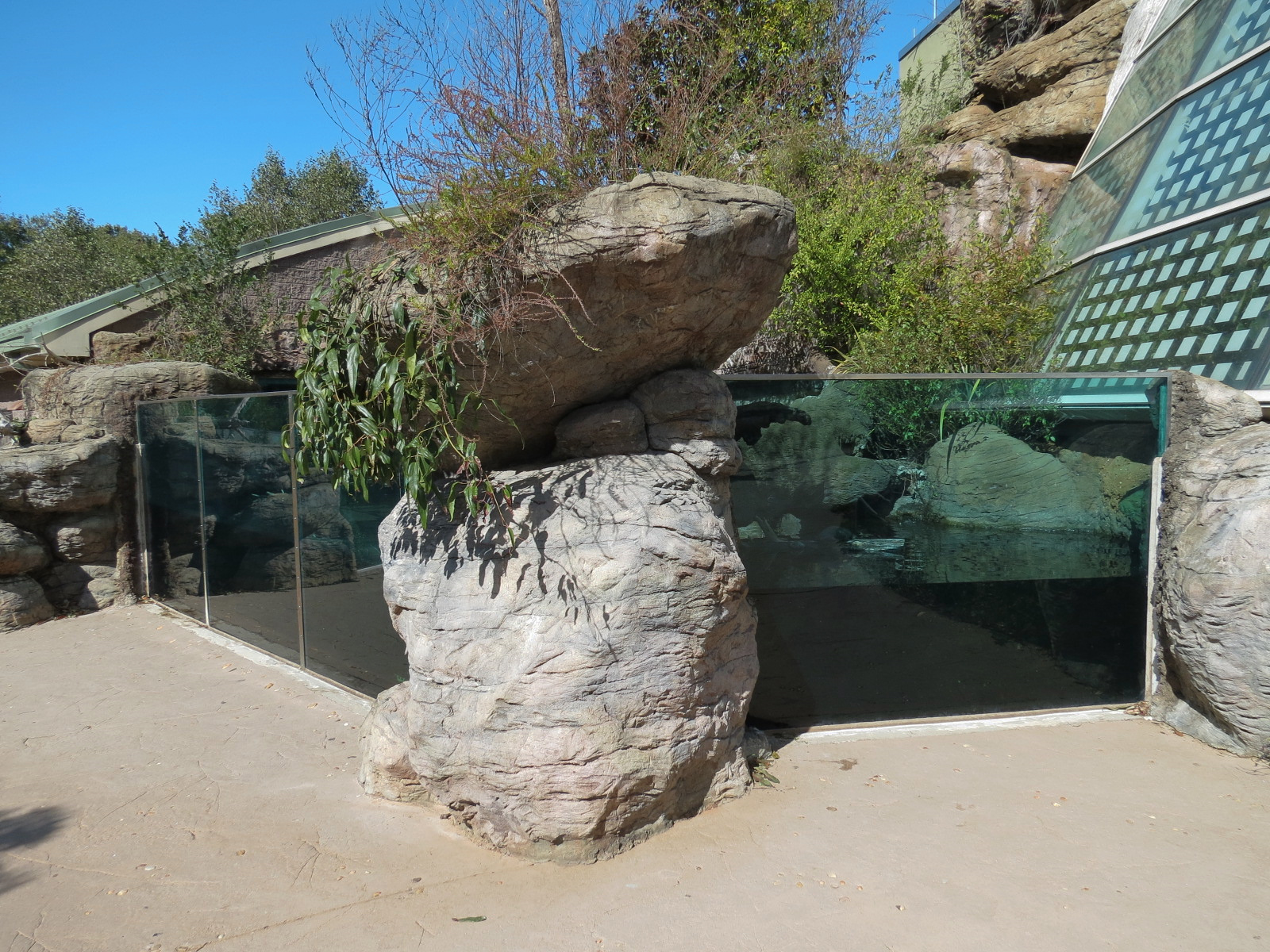 Scaly Slimy Spectacular - Turtle Exhibit