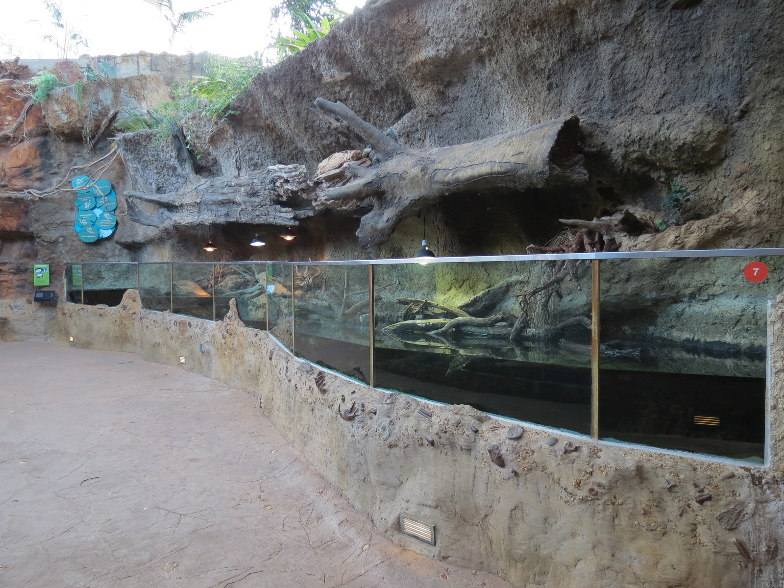 Scaly Slimy Spectacular - Turtle Exhibit