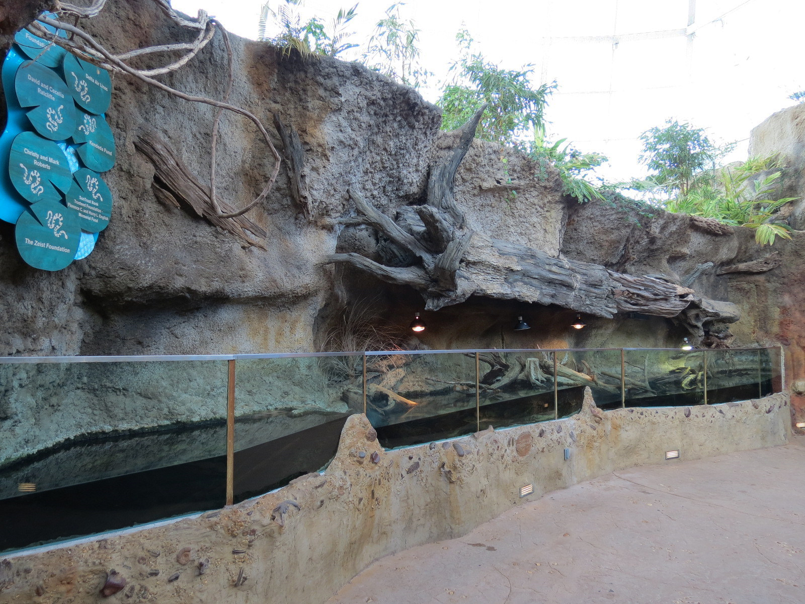 Scaly Slimy Spectacular - Turtle Exhibit