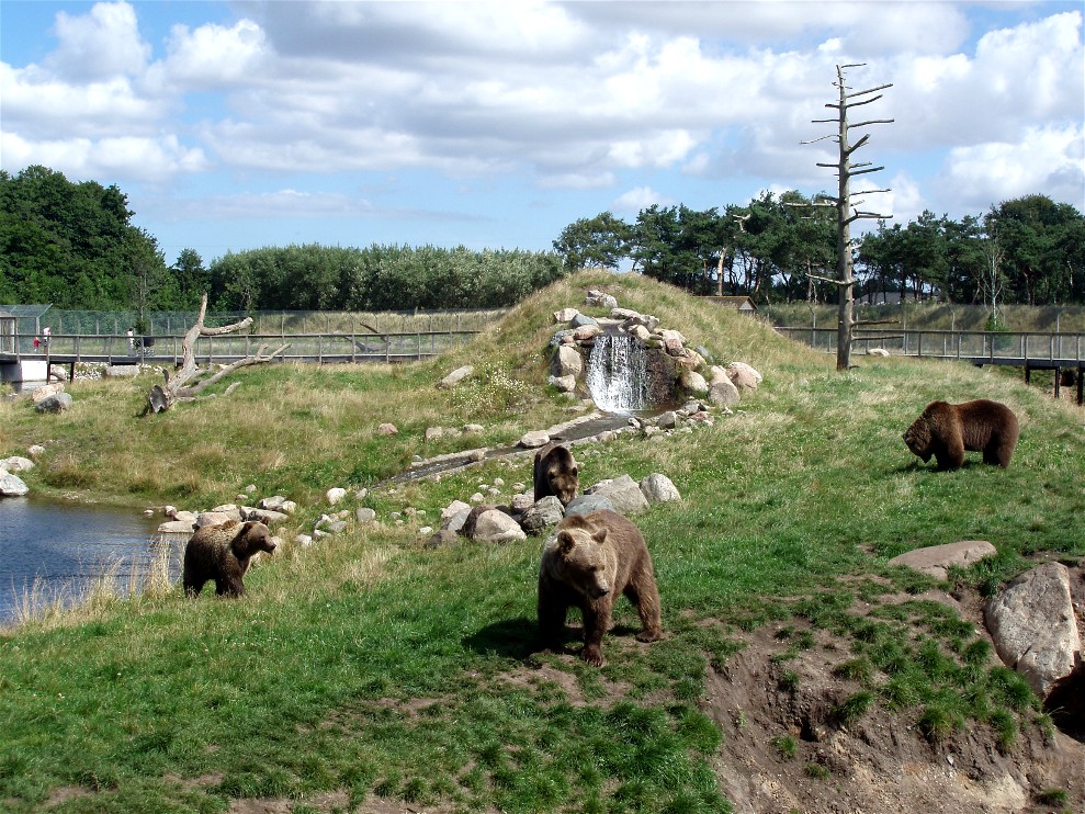 Scandinavian Wildlife Park - Bear Park