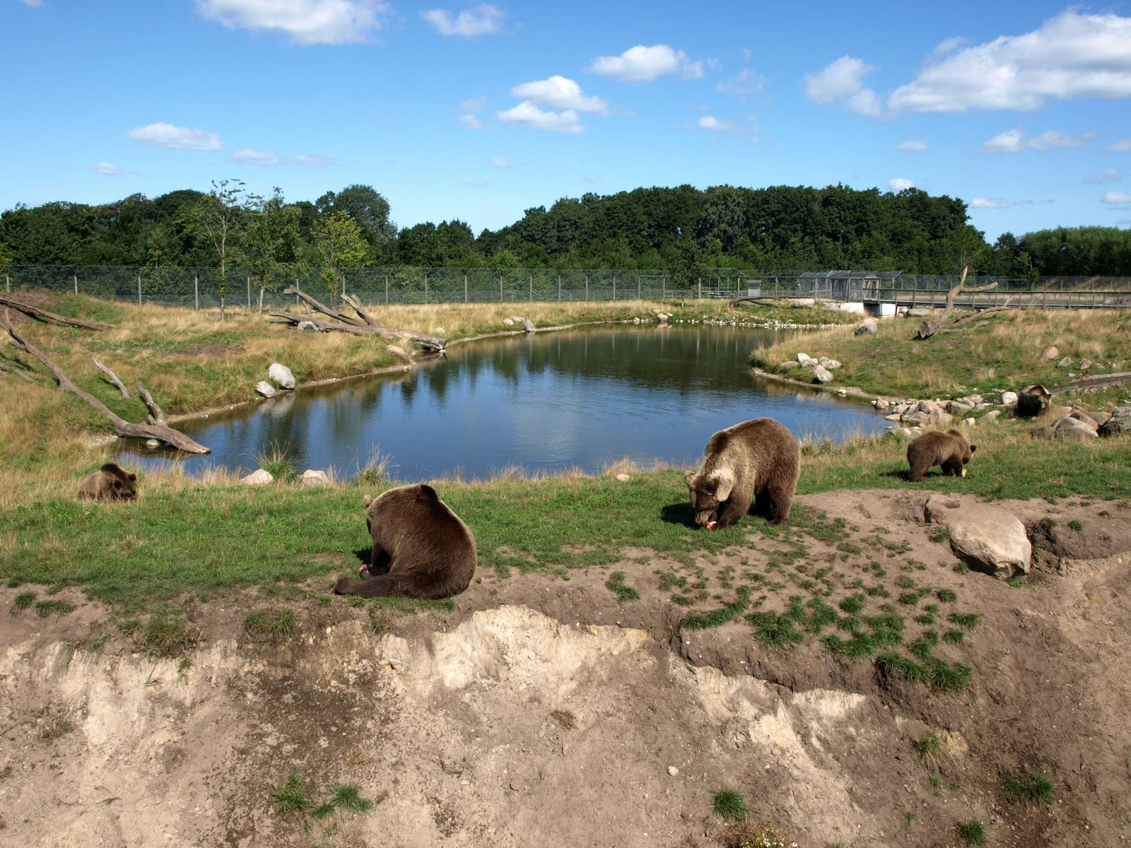 Scandinavian Wildlife Park - Bear Park