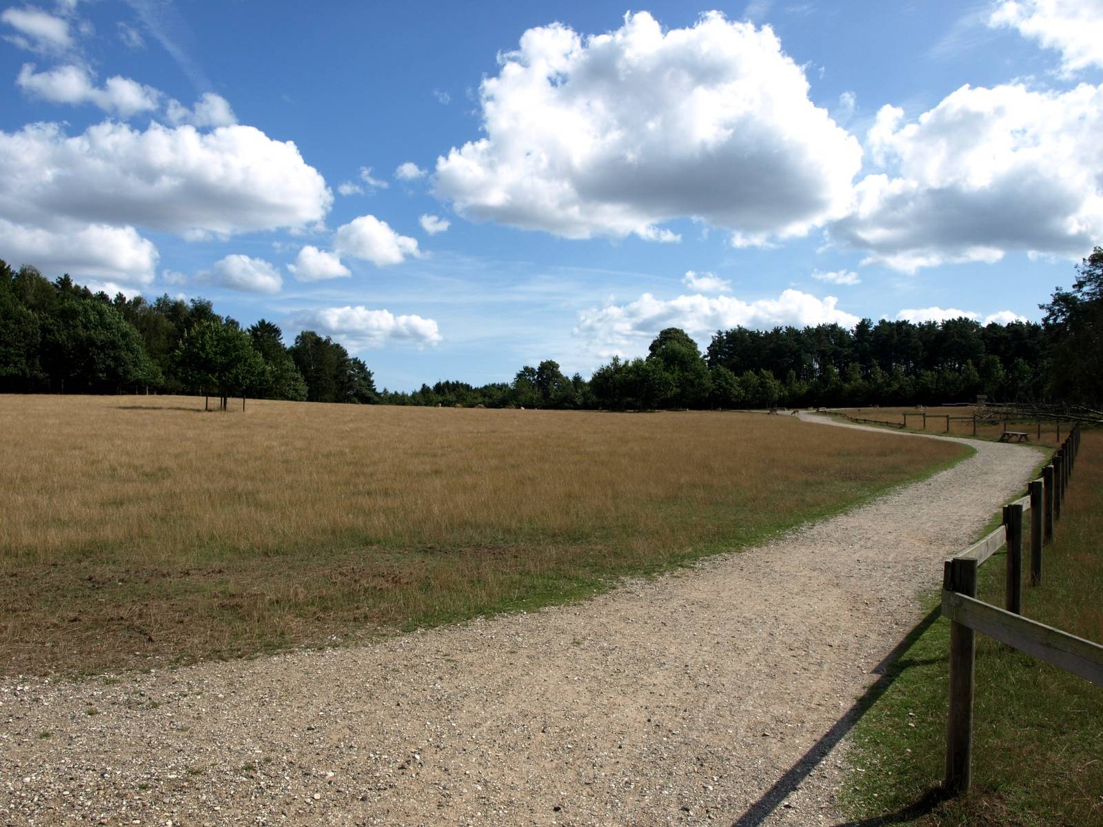 Scandinavian Wildlife Park - Fallow deer enclosure