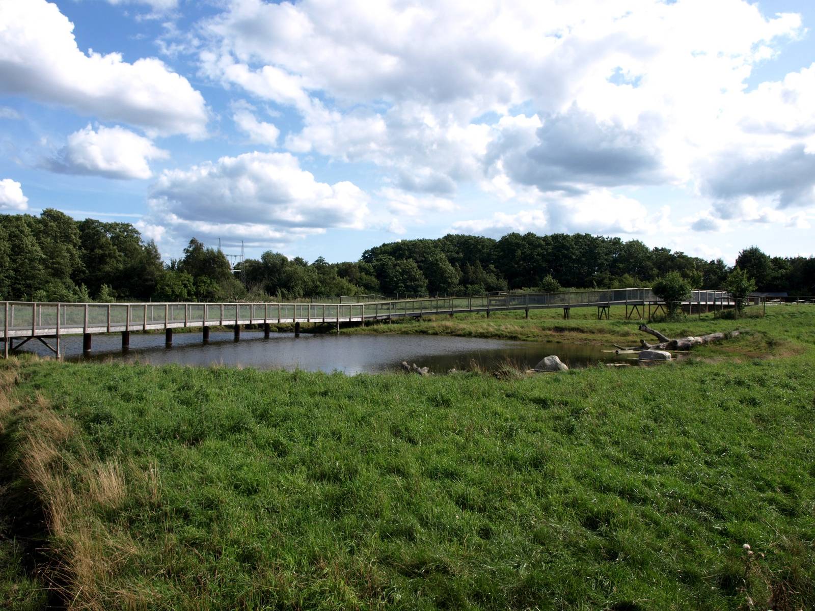 Scandinavian Wildlife Park - Moose Park