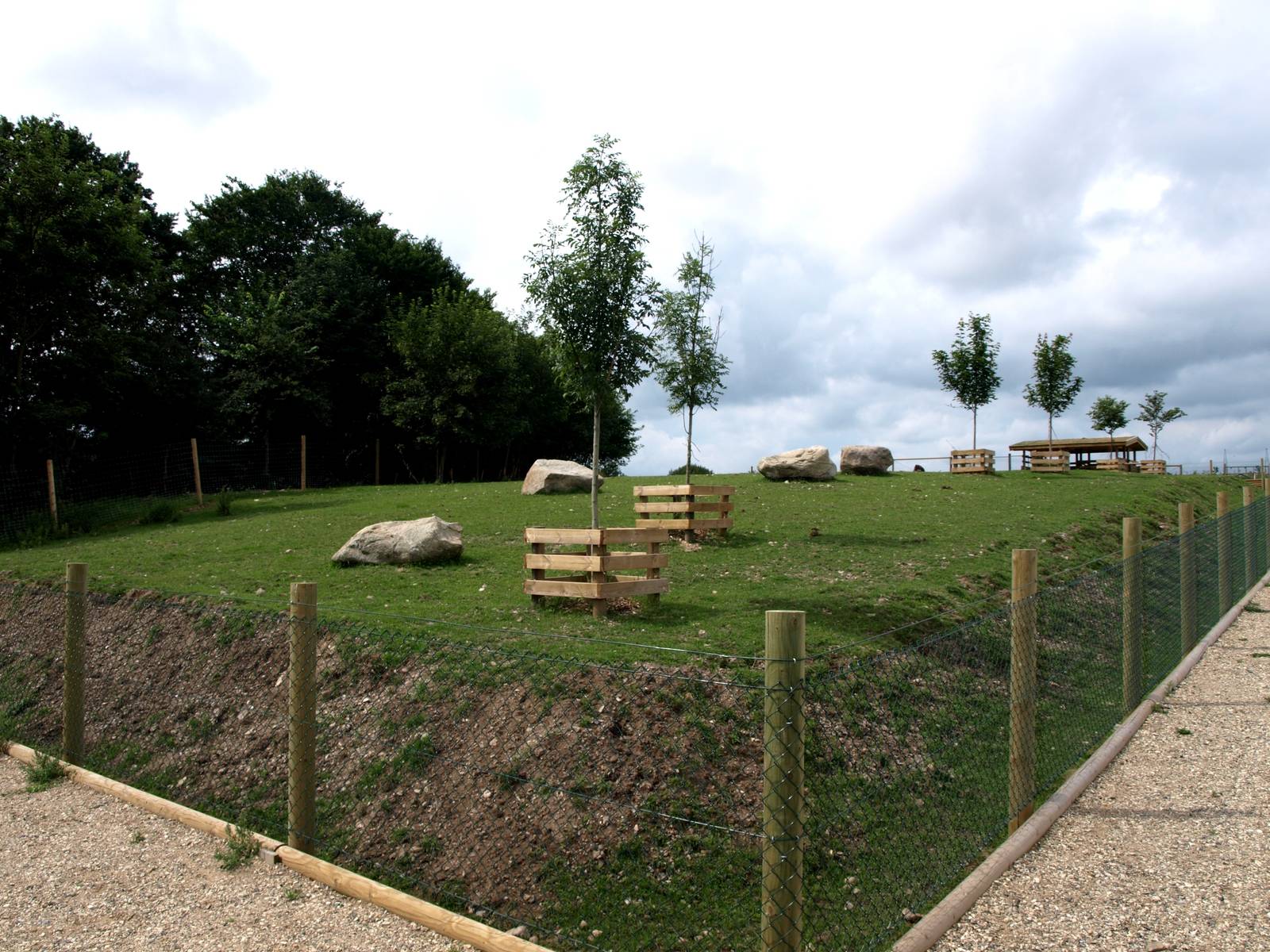 Scandinavian Wildlife Park - Musk ox exhibit