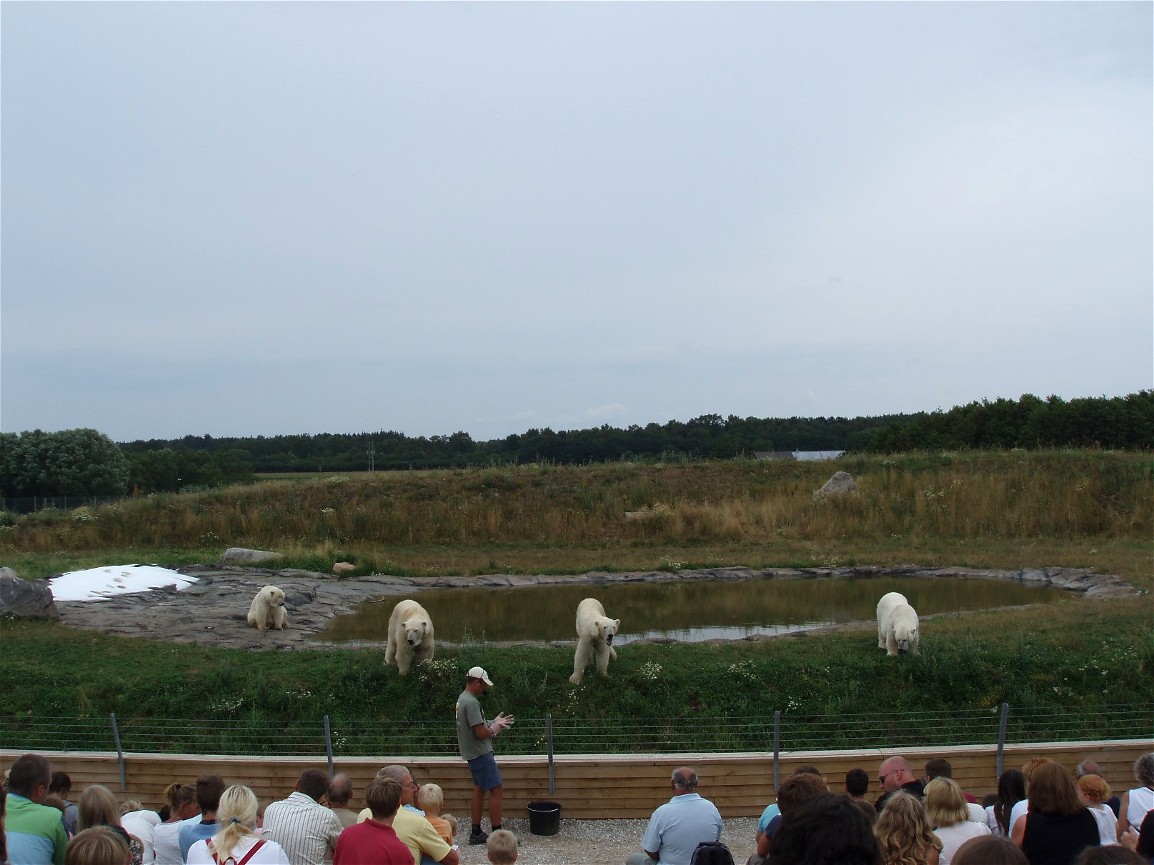 Scandinavian Wildlife Park - Polar Bear Park