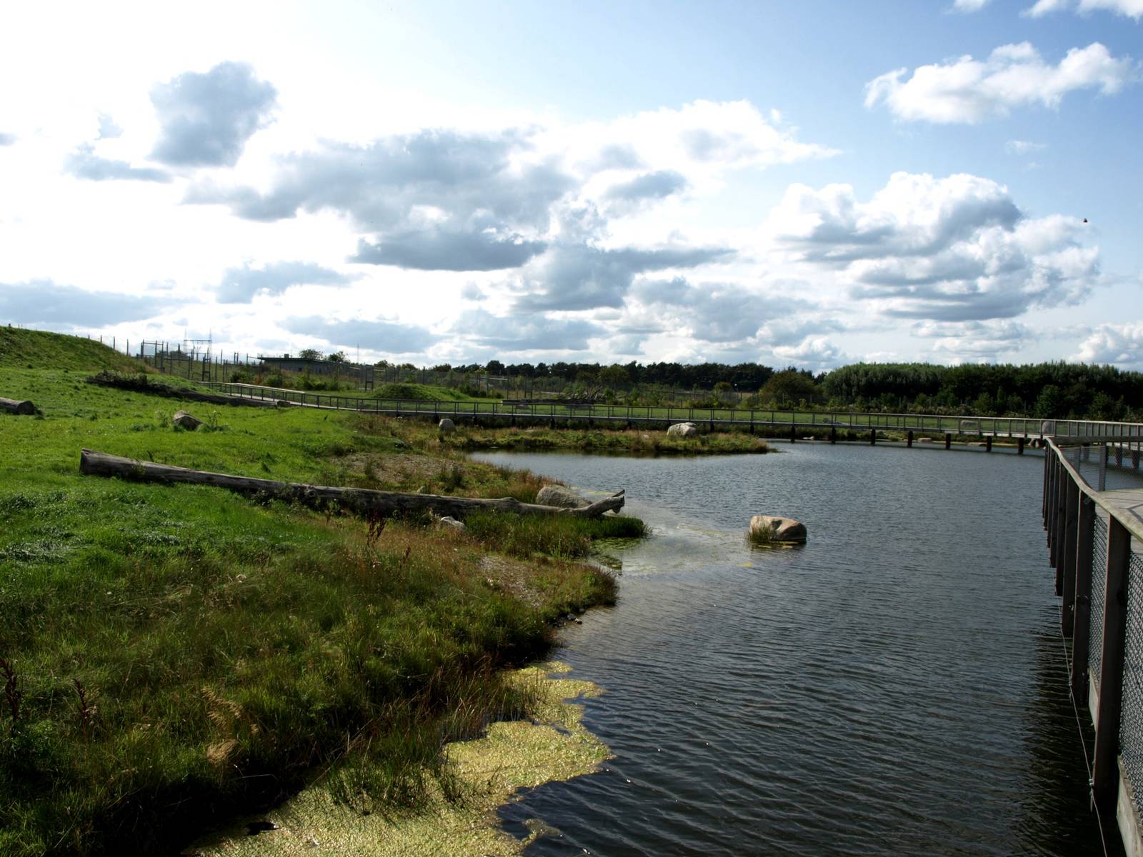 Scandinavian Wildlife Park - Polar Bear Park