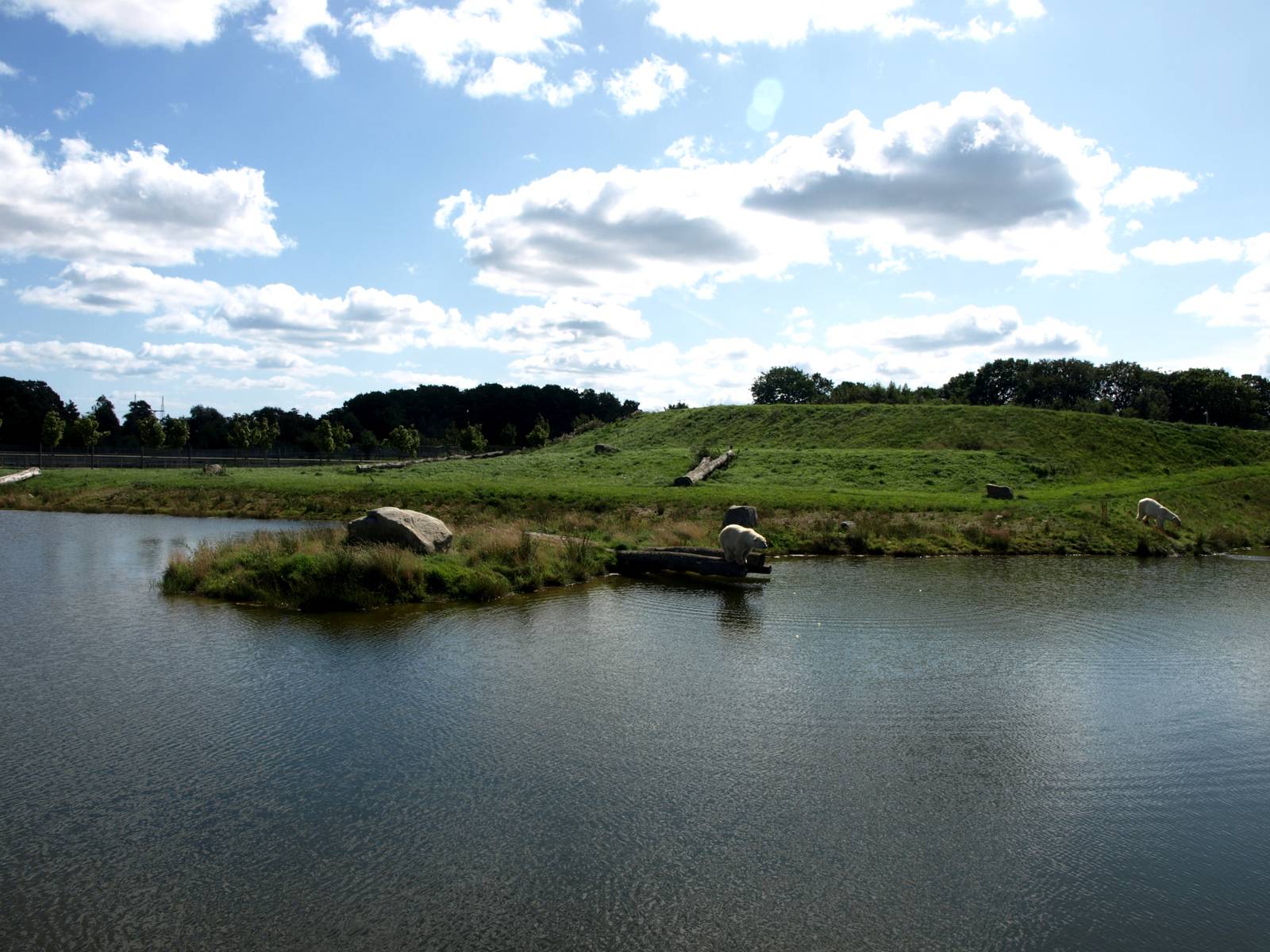 Scandinavian Wildlife Park - Polar Bear Park
