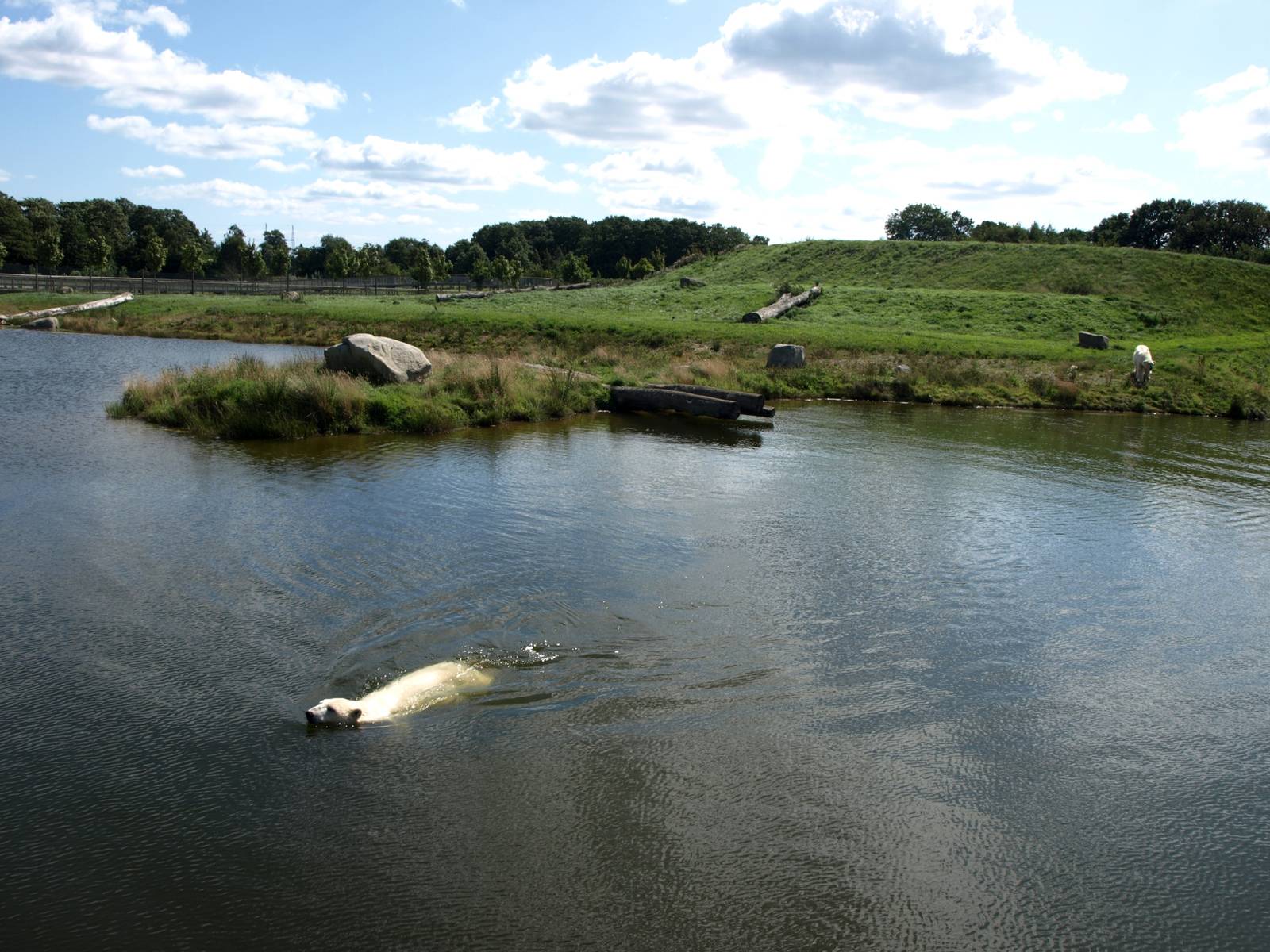 Scandinavian Wildlife Park - Polar Bear Park