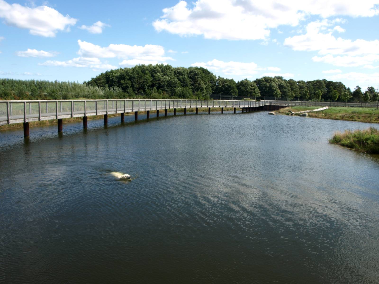 Scandinavian Wildlife Park - Polar Bear Park