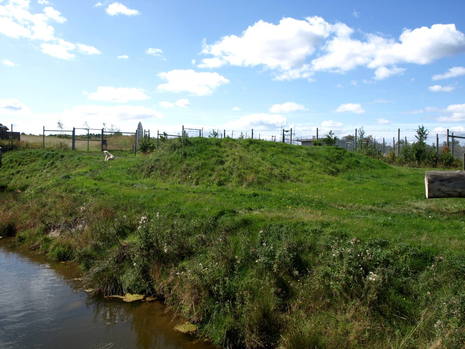 Scandinavian Wildlife Park - Polar Bear Park