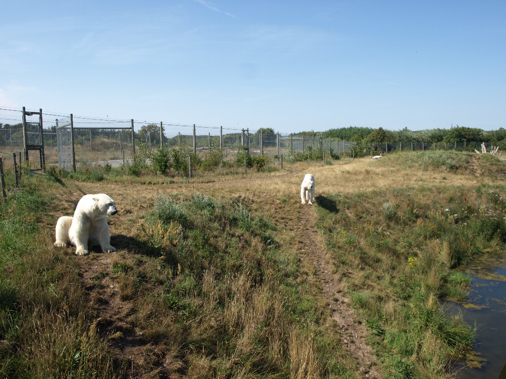 Scandinavian Wildlife Park -